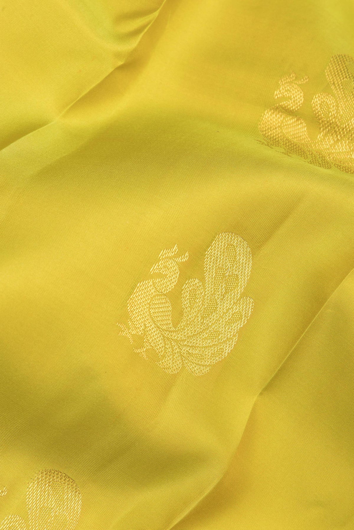Close up of Pure Silk Parrot Green Kanchipuram Saree with Zari Butta on the body and Zari Border.  displaying folds