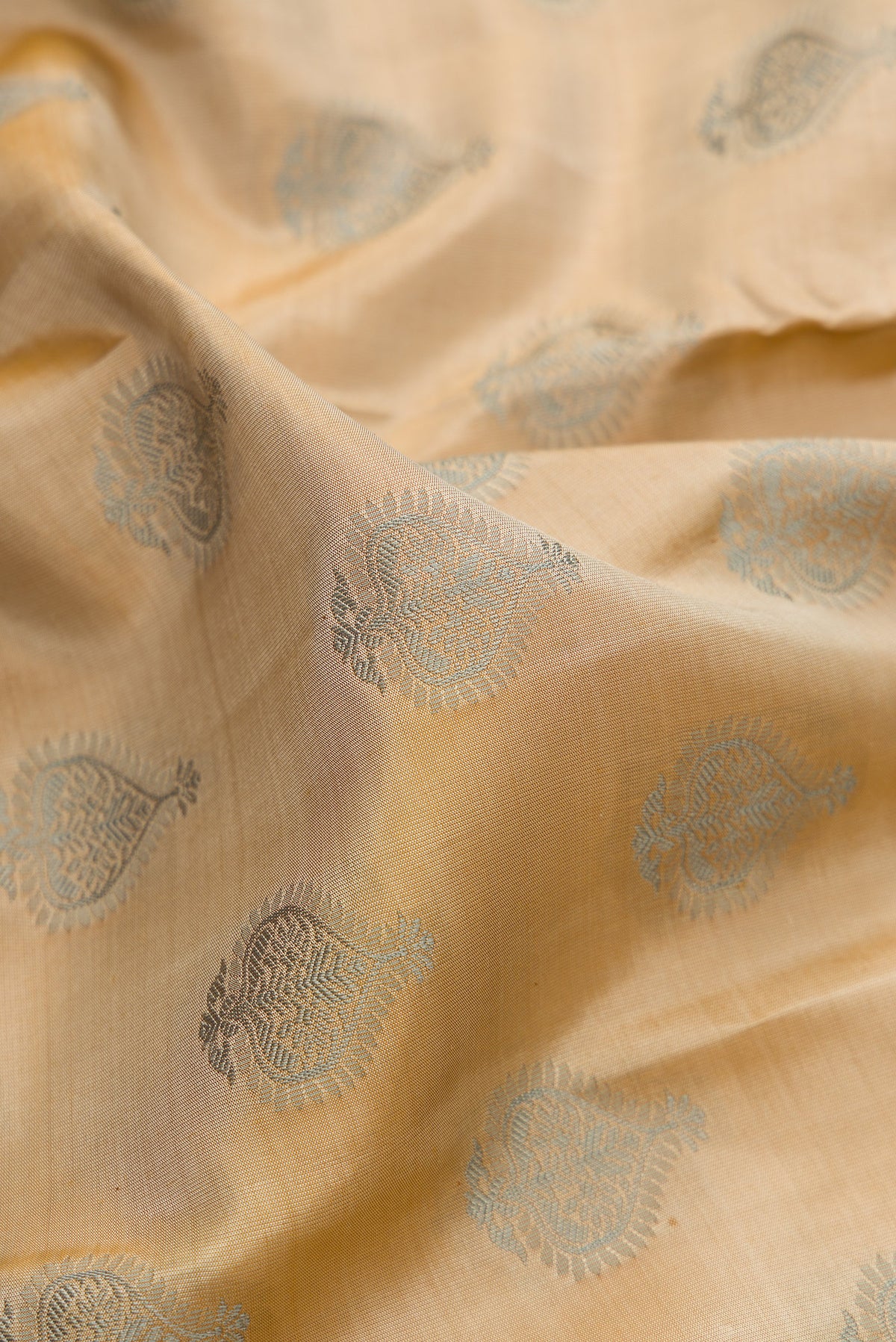 Close up of Pure Silk Beige Kanchipuram Saree with Thread Butta on the body and Thread Border.  displaying folds