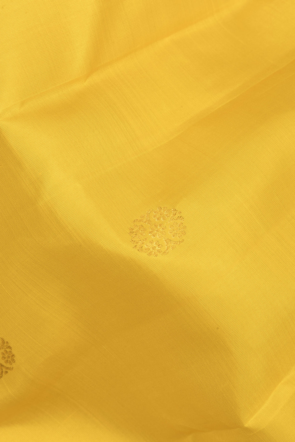 Close up of Pure Silk Yellow Kanchipuram Saree with Zari Butta on the body and Zari Border.  displaying folds