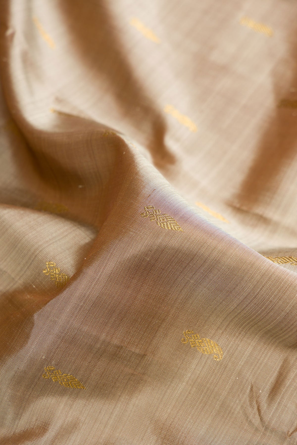 Close up of Pure Silk Dark Beige Kanjivaram Saree with Zari Butta on the body and Zari Border.  displaying folds