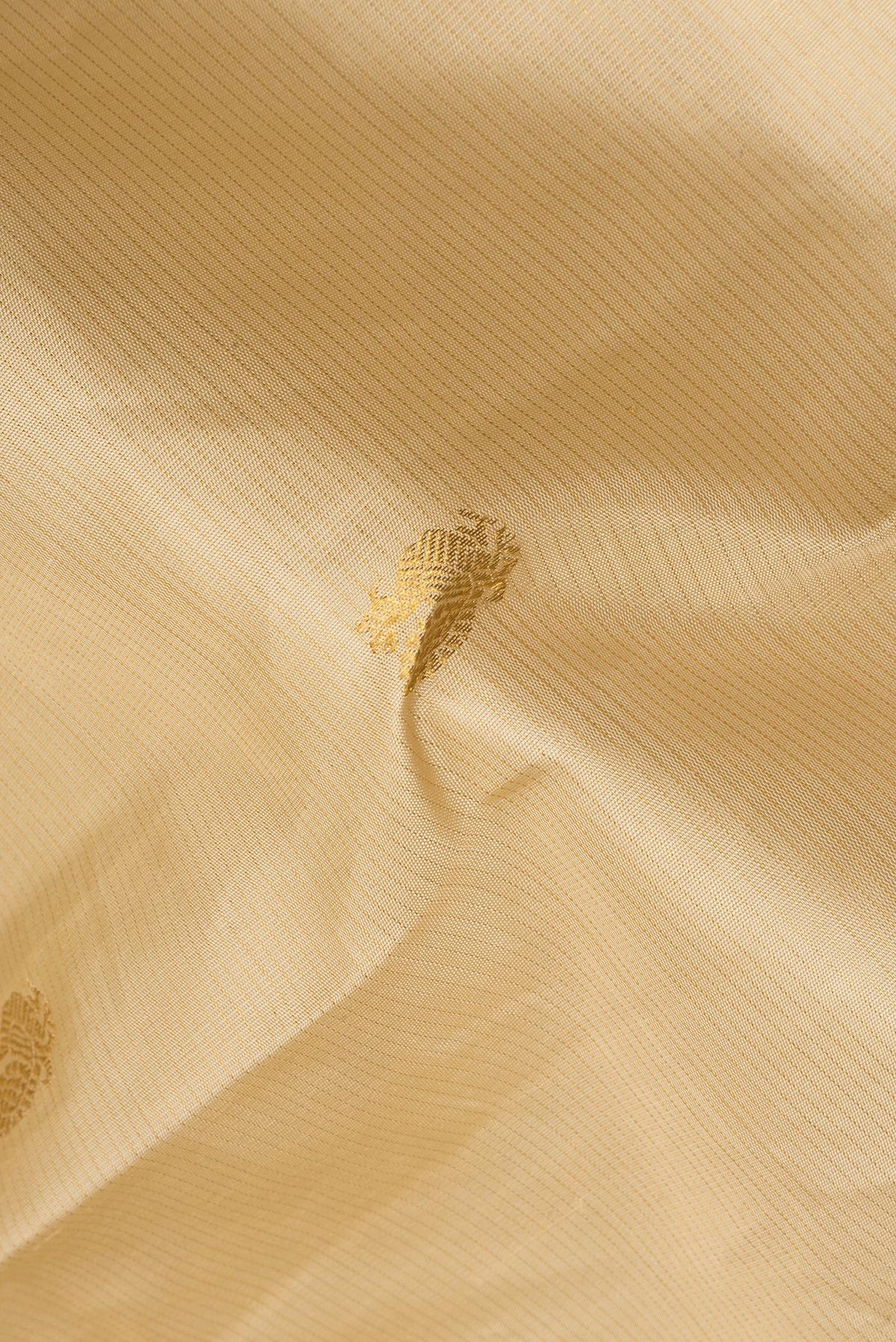 Close up of Pure Silk Beige Kanjivaram Saree with Zari Butta on the body and Zari Border.  displaying folds