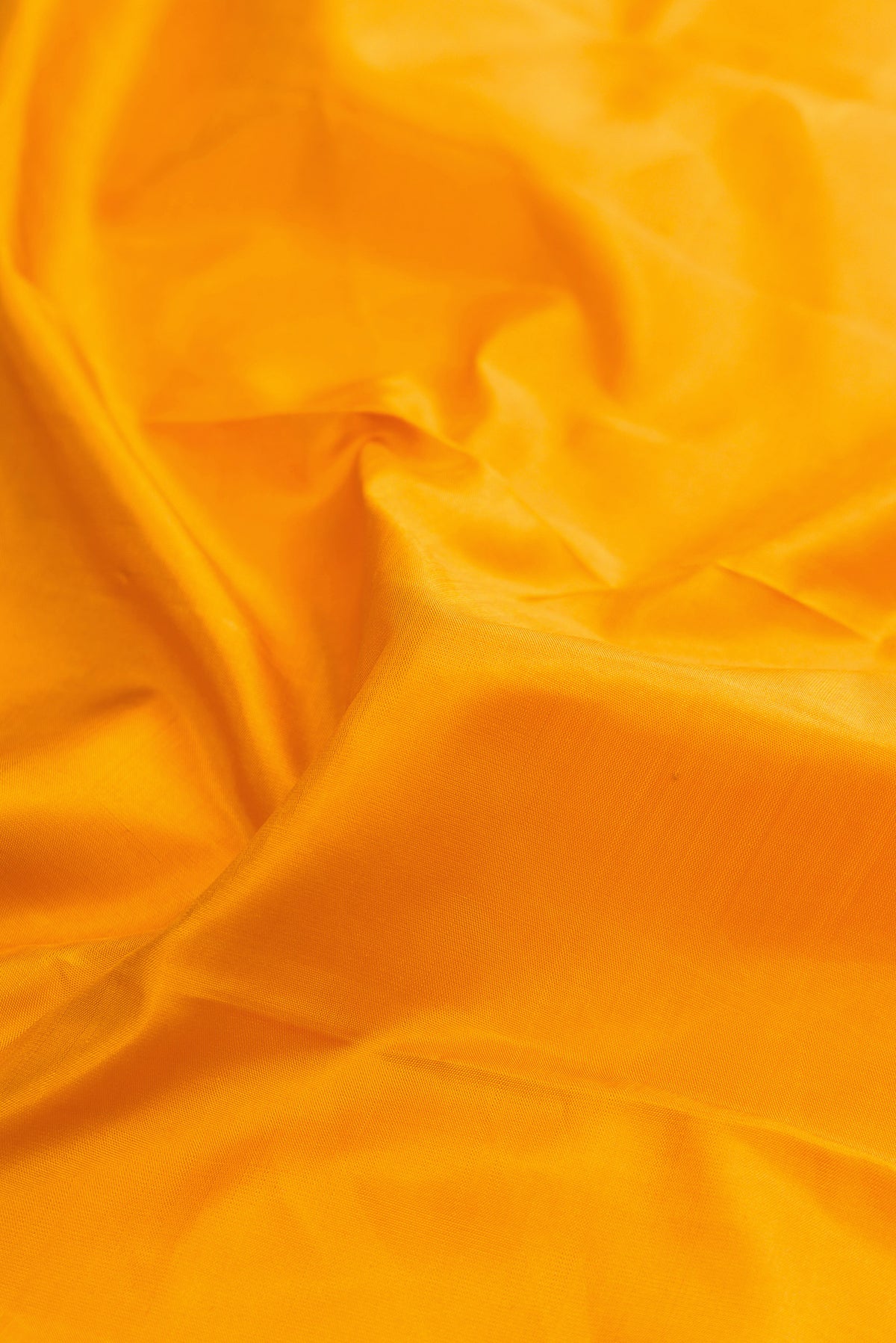 Close up of Pure Silk Mustard Kanjivaram Saree with Plain Body and Zari Border.  displaying folds