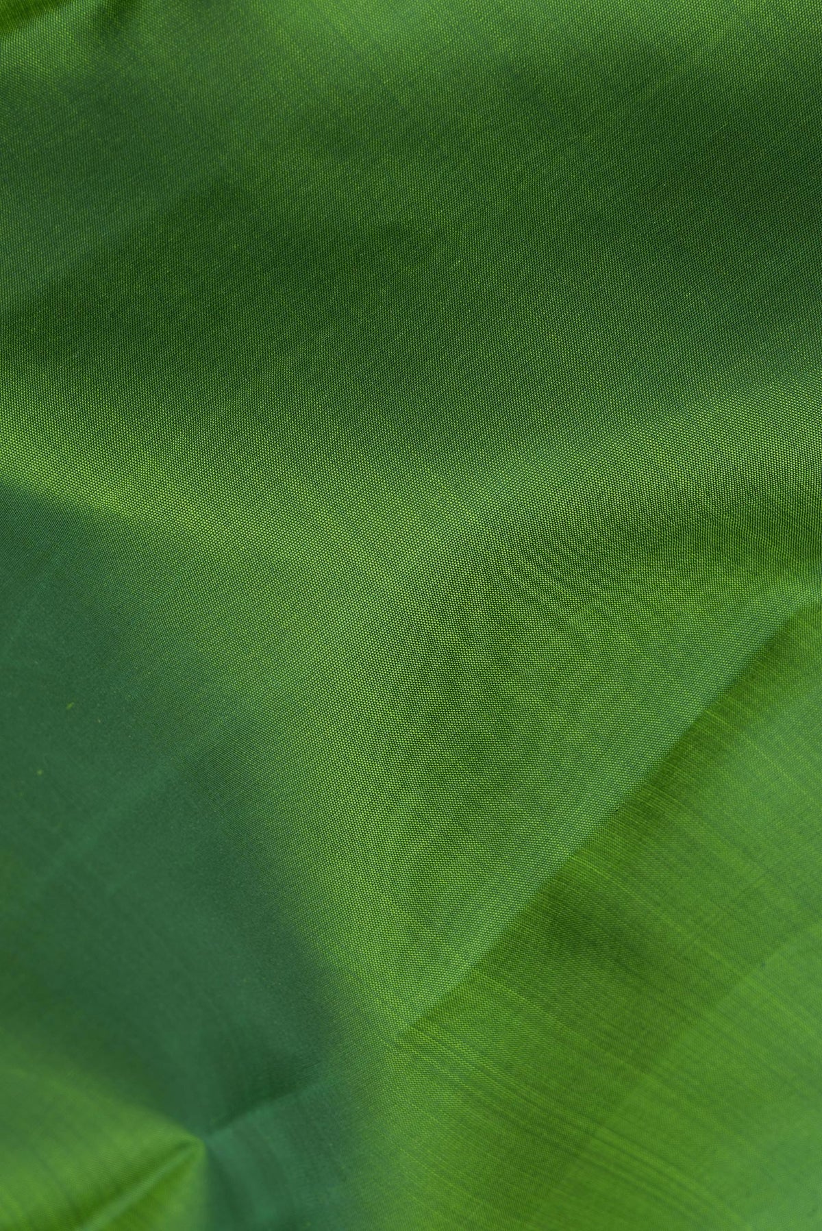 Close up of Pure Silk Green Kanjivaram Saree with Plain Body and Zari Border.  displaying folds
