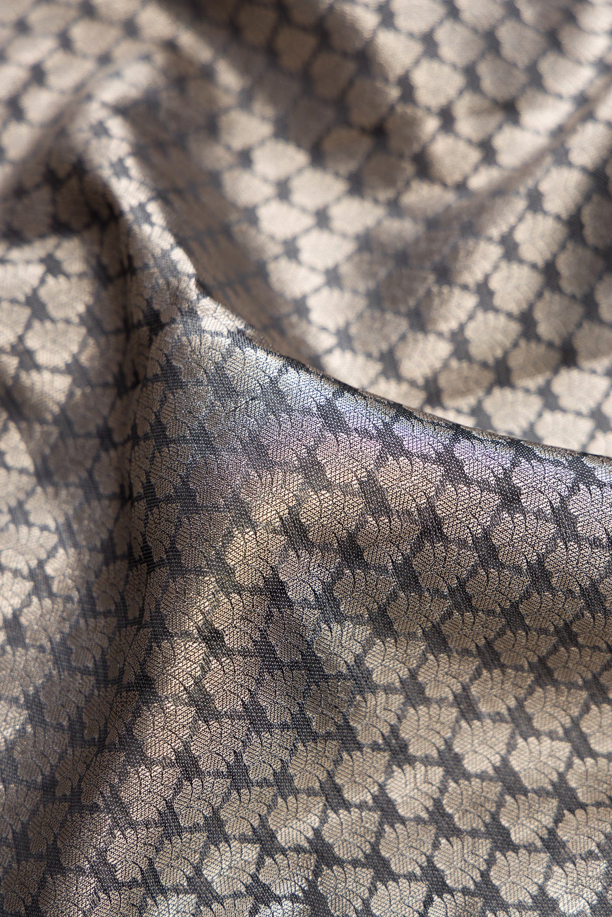 Close up of Grey Kanchipuram Tissue Saree with Zari Brocade on the body and Fancy Border.  displaying folds