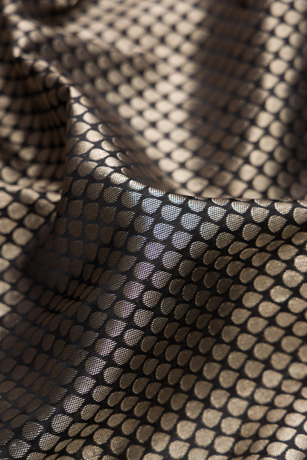 Close up of Black Dual Tone Kanchipuram Tissue Saree with Zari Brocade on the body and Zari Border.  displaying folds
