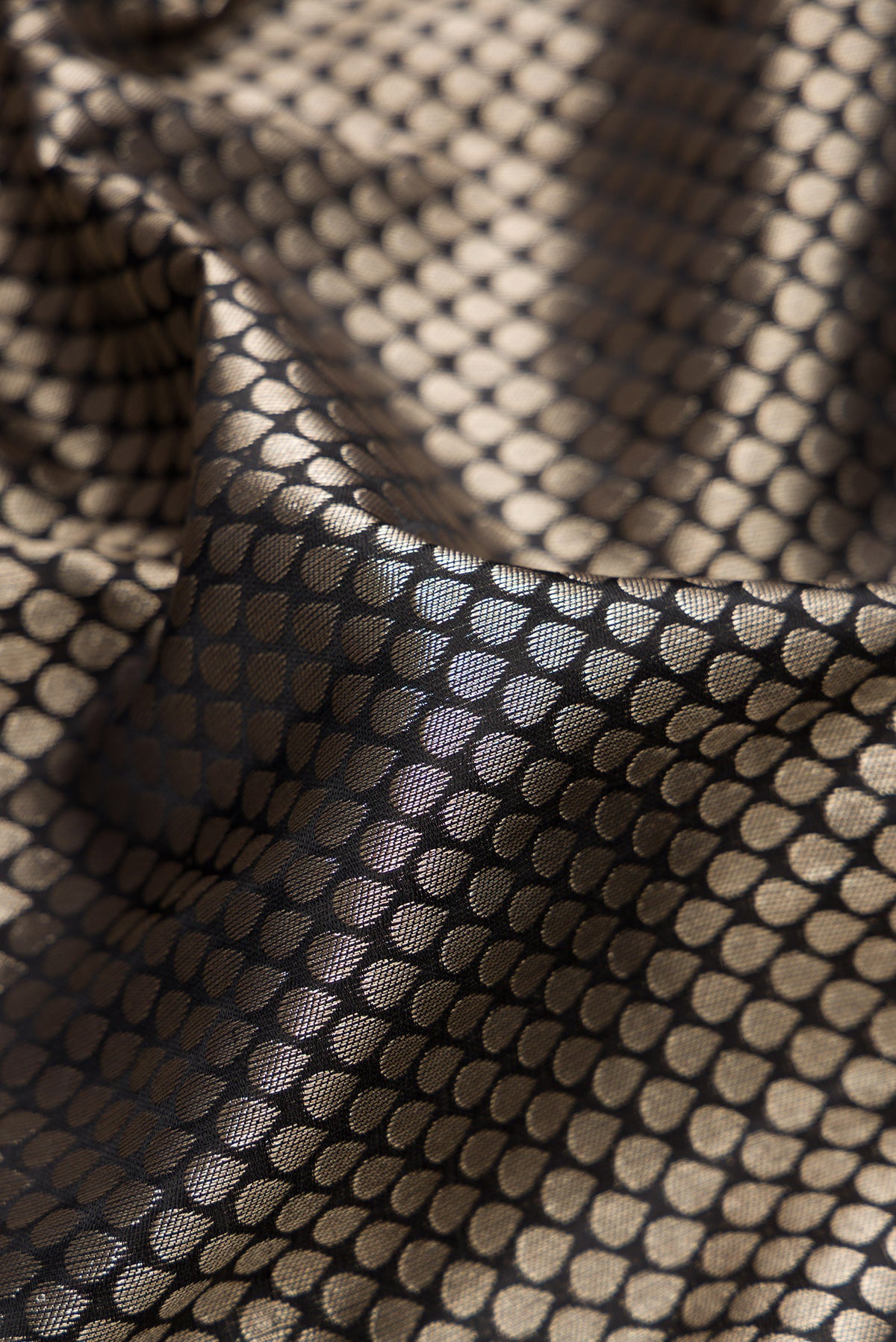 Close up of Black Dual Tone Kanchipuram Tissue Saree with Zari Brocade on the body and Zari Border.  displaying folds