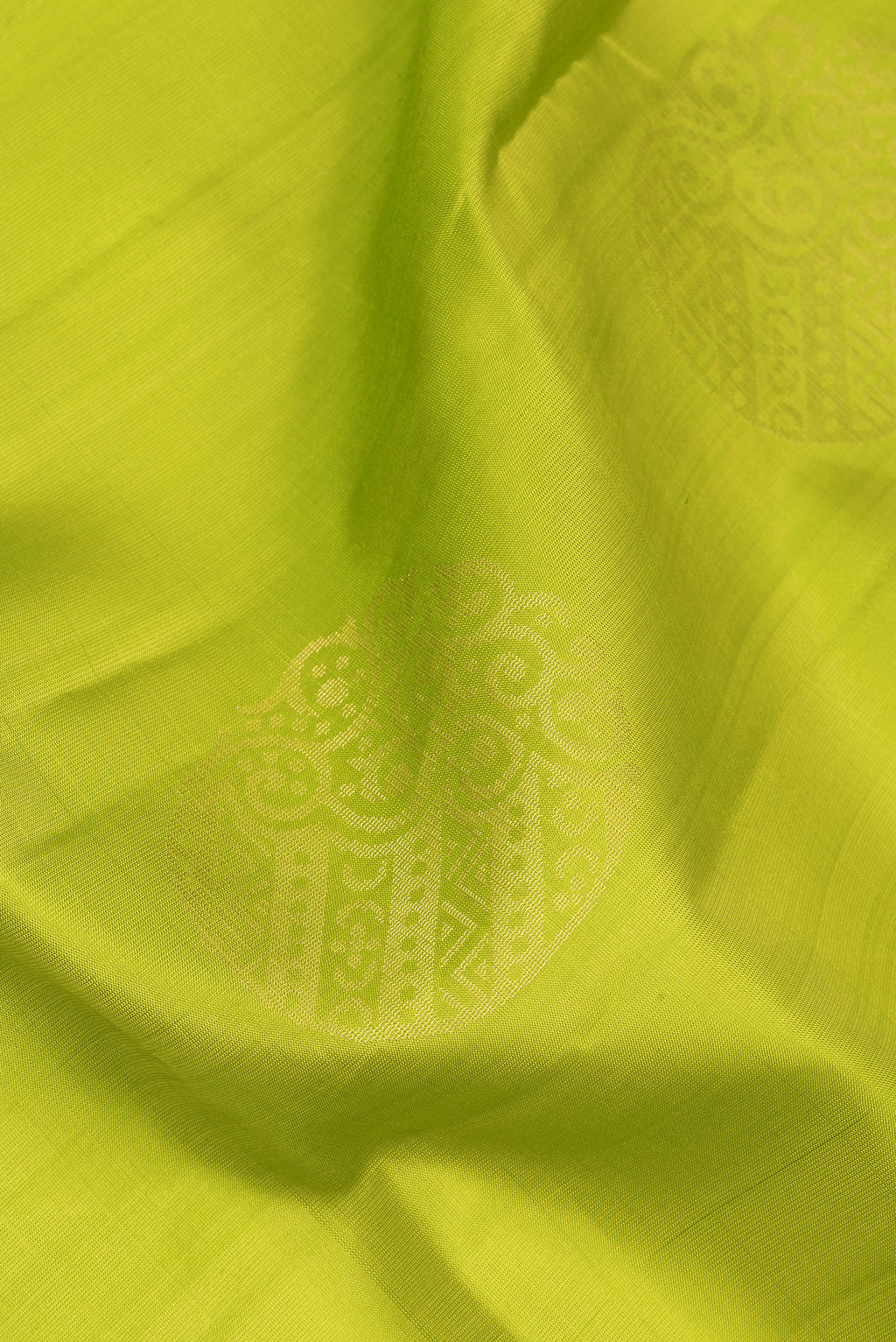 Close up of Pure Silk Parrot Green Soft Saree with Zari Butta on the body and Zari Border.  displaying folds