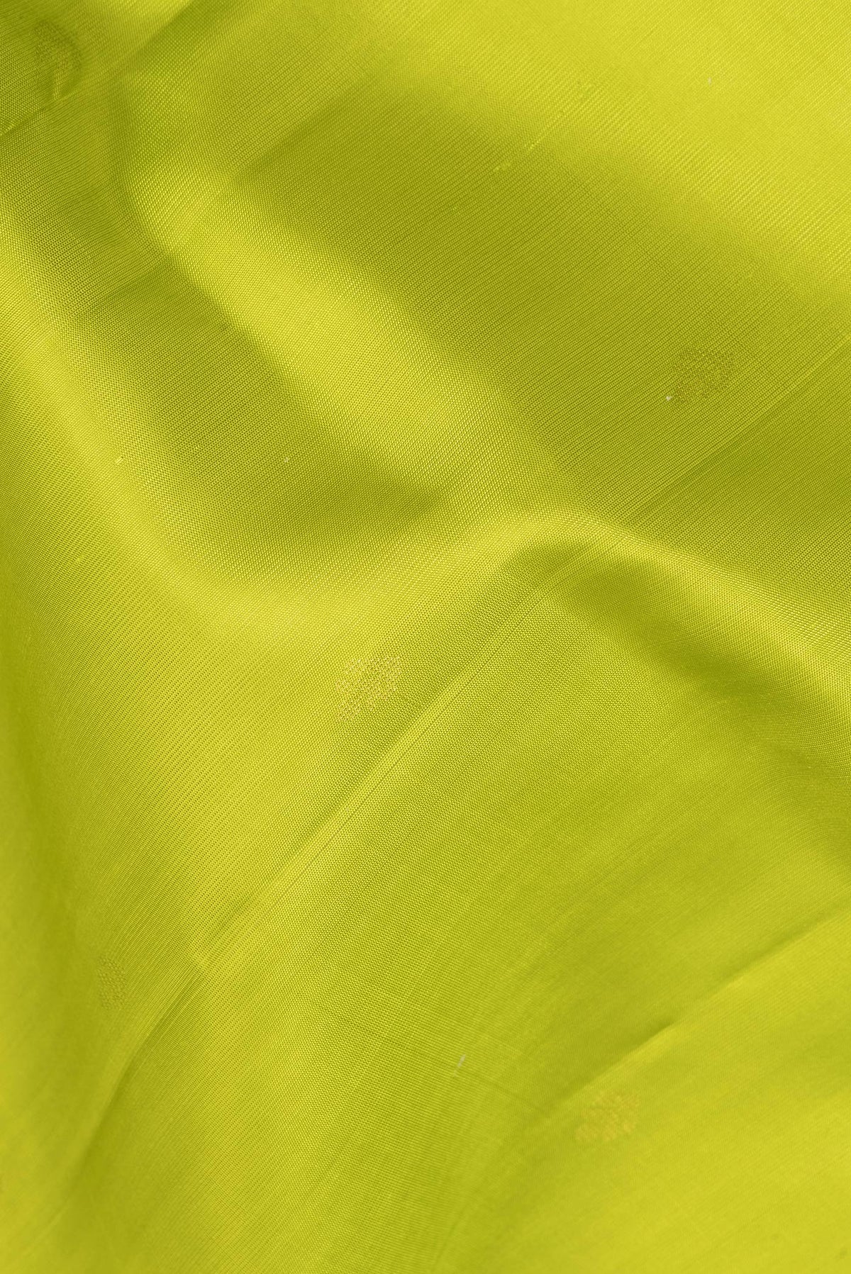 Close up of Pure Silk Parrot Green Soft Saree with Zari Butta on the body and Zari Border.  displaying folds