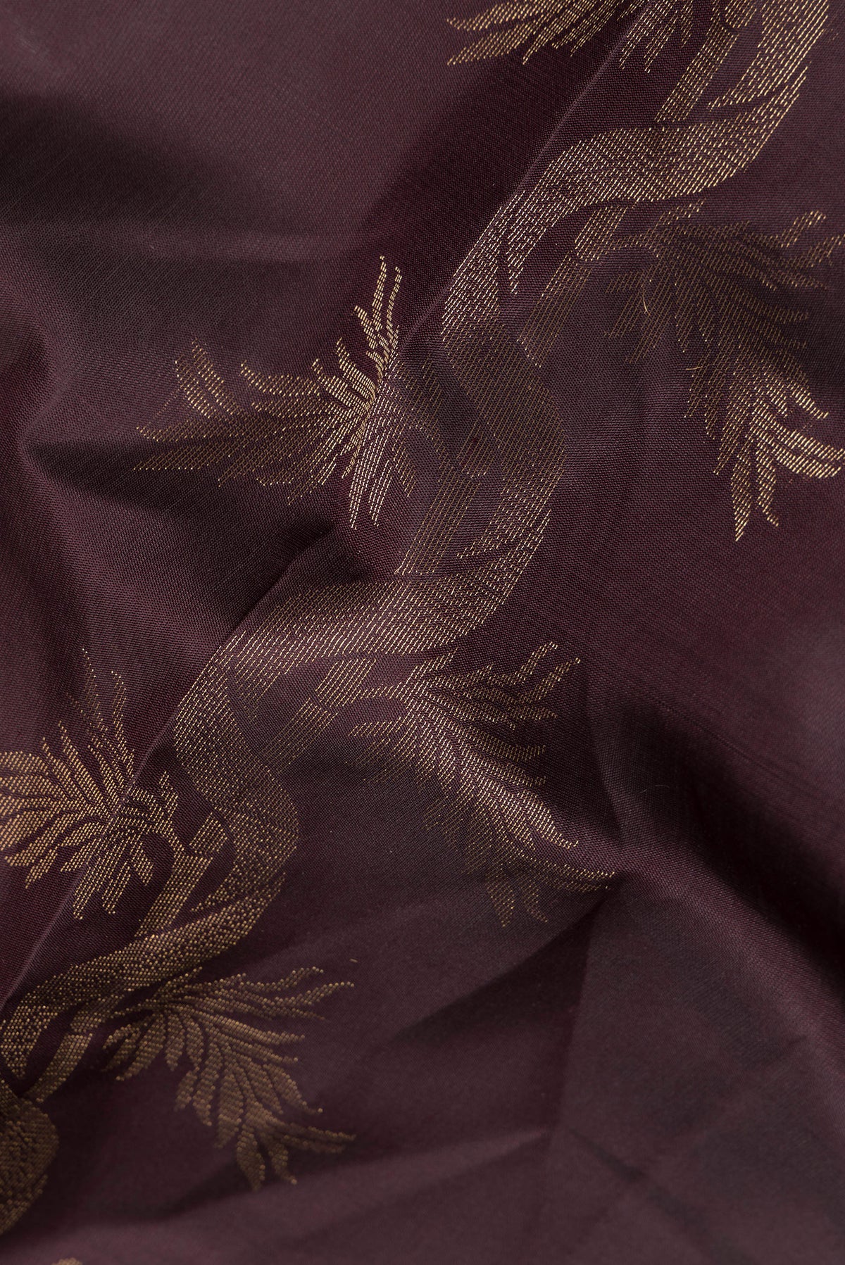 Close up of Pure Silk Coffee Brown Soft Saree with Zari Butta on the body and Without Border.  displaying folds