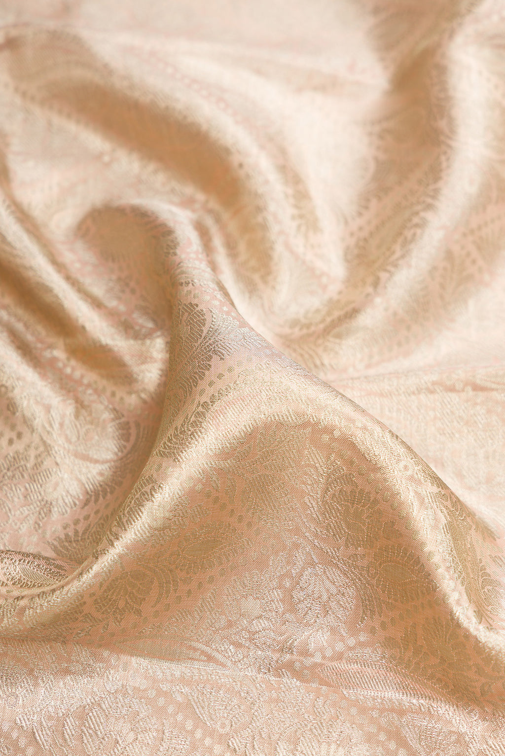 Close up of Gold Dual Tone Kanjivaram Tissue Saree with Zari Brocade on the body and Zari Border.  displaying folds