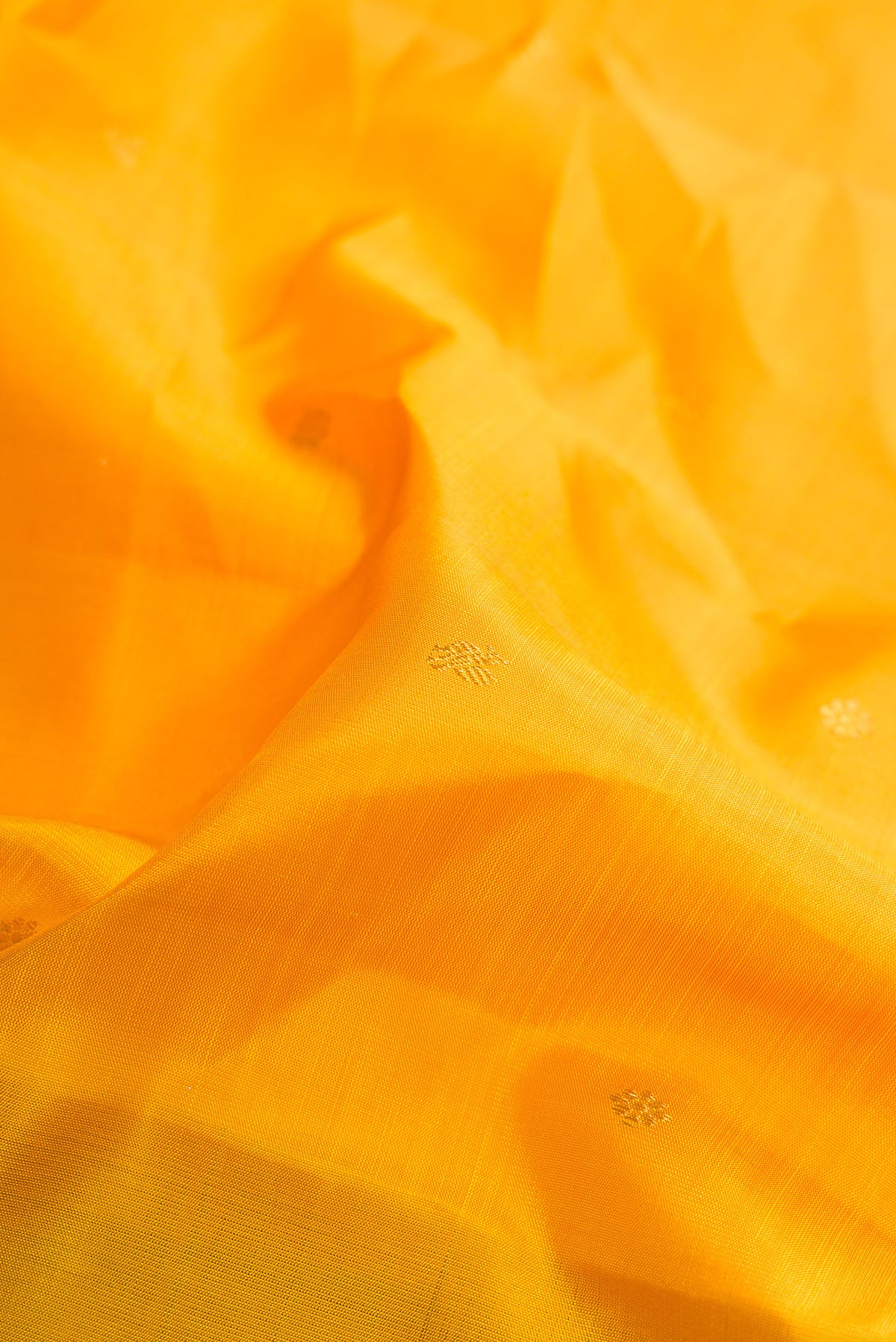 Close up of Pure Silk Yellow Kanchipuram Saree with Zari Butta on the body and Zari Border.  displaying folds