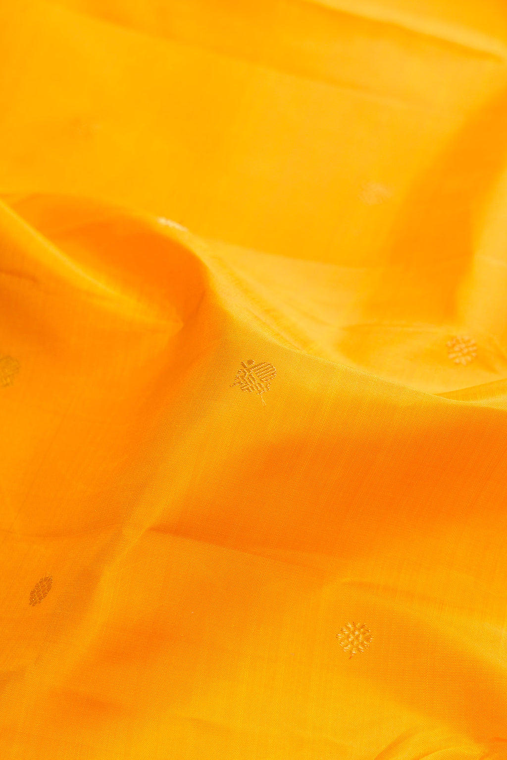 Close up of Pure Silk Mustard Kanchipuram Saree with Zari Butta on the body and Fancy Border.  displaying folds