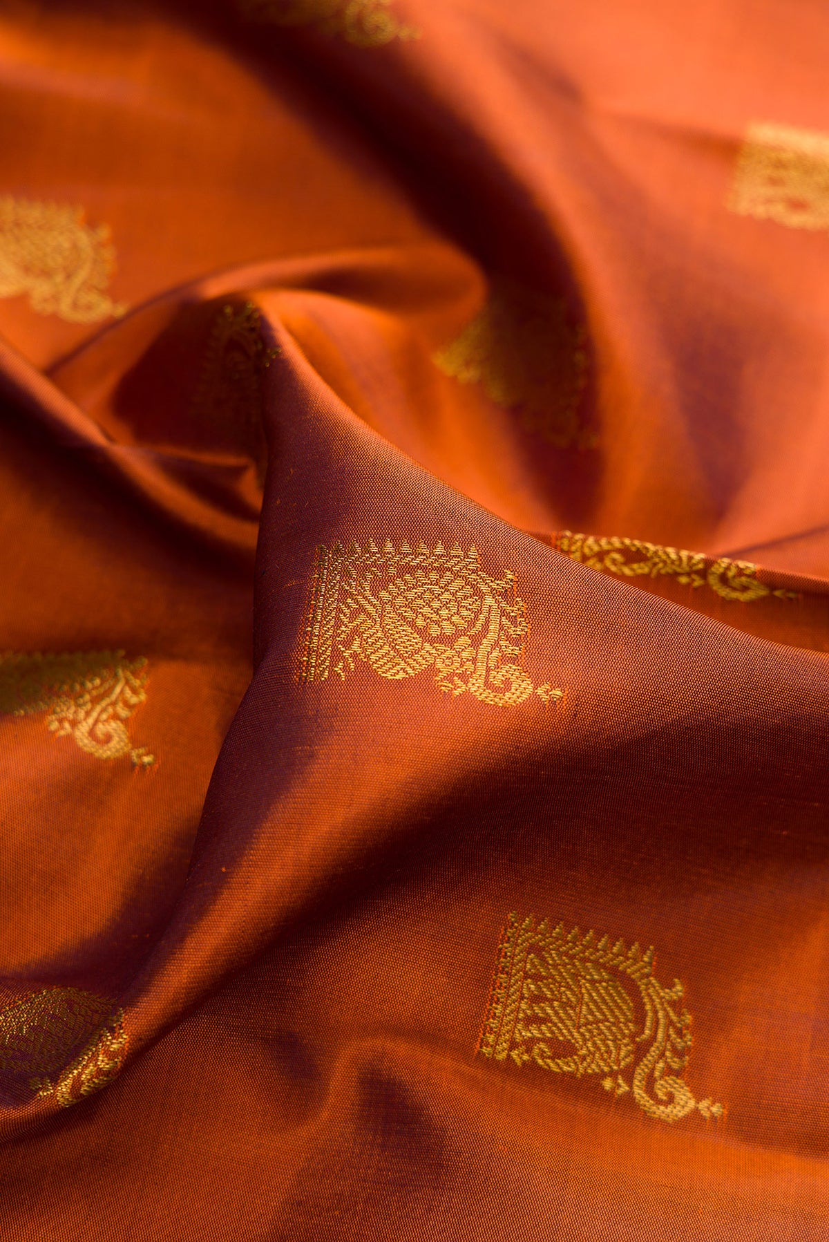 Close up of Pure Silk Rust Kanchipuram Saree with Zari Butta on the body and Fancy Border.  displaying folds