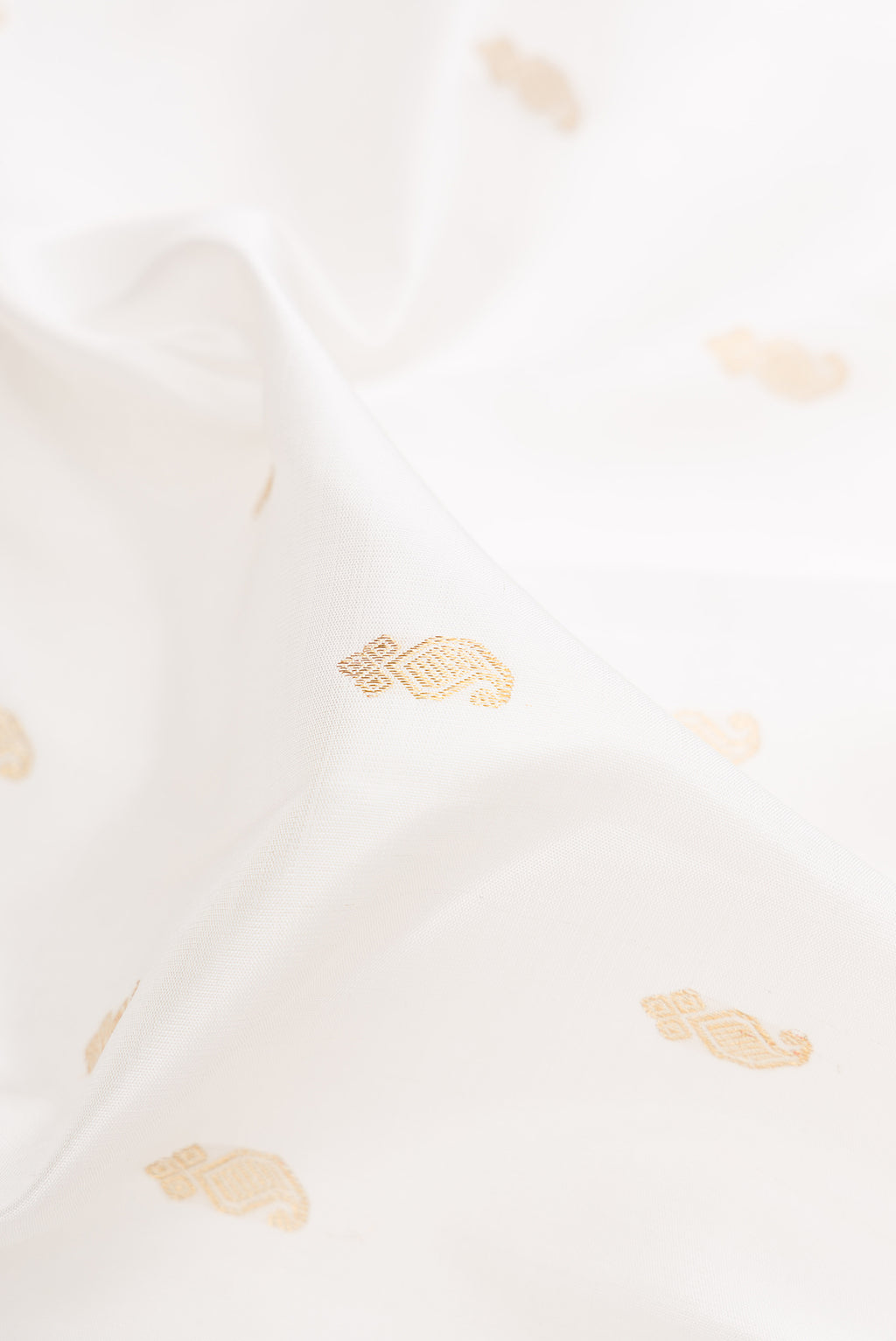 Close up of Pure Silk White Kanjivaram Saree with Zari Butta on the body and Zari Border.  displaying folds