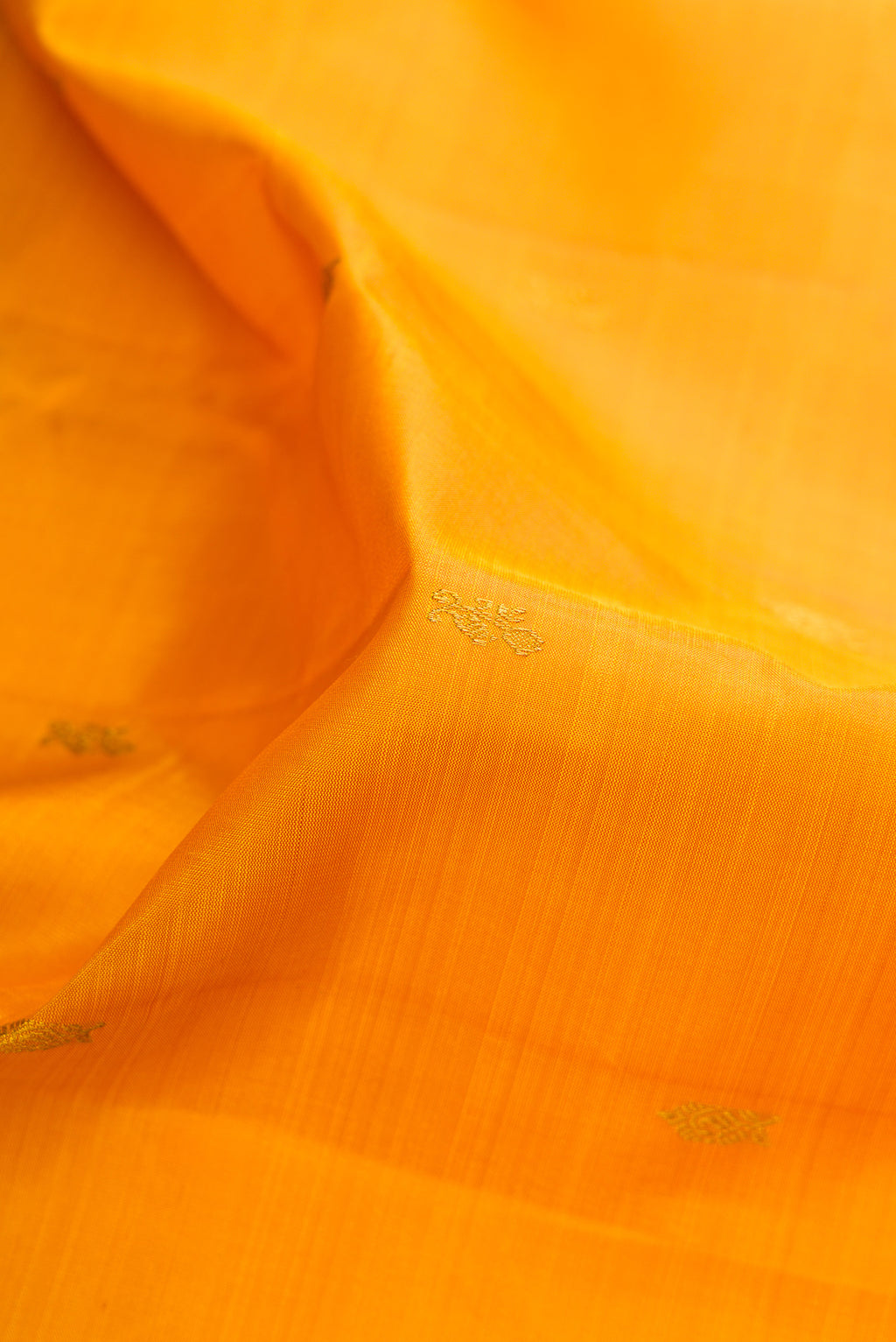 Close up of Pure Silk Mustard Kanjivaram Saree with Zari Butta on the body and Zari Border.  displaying folds