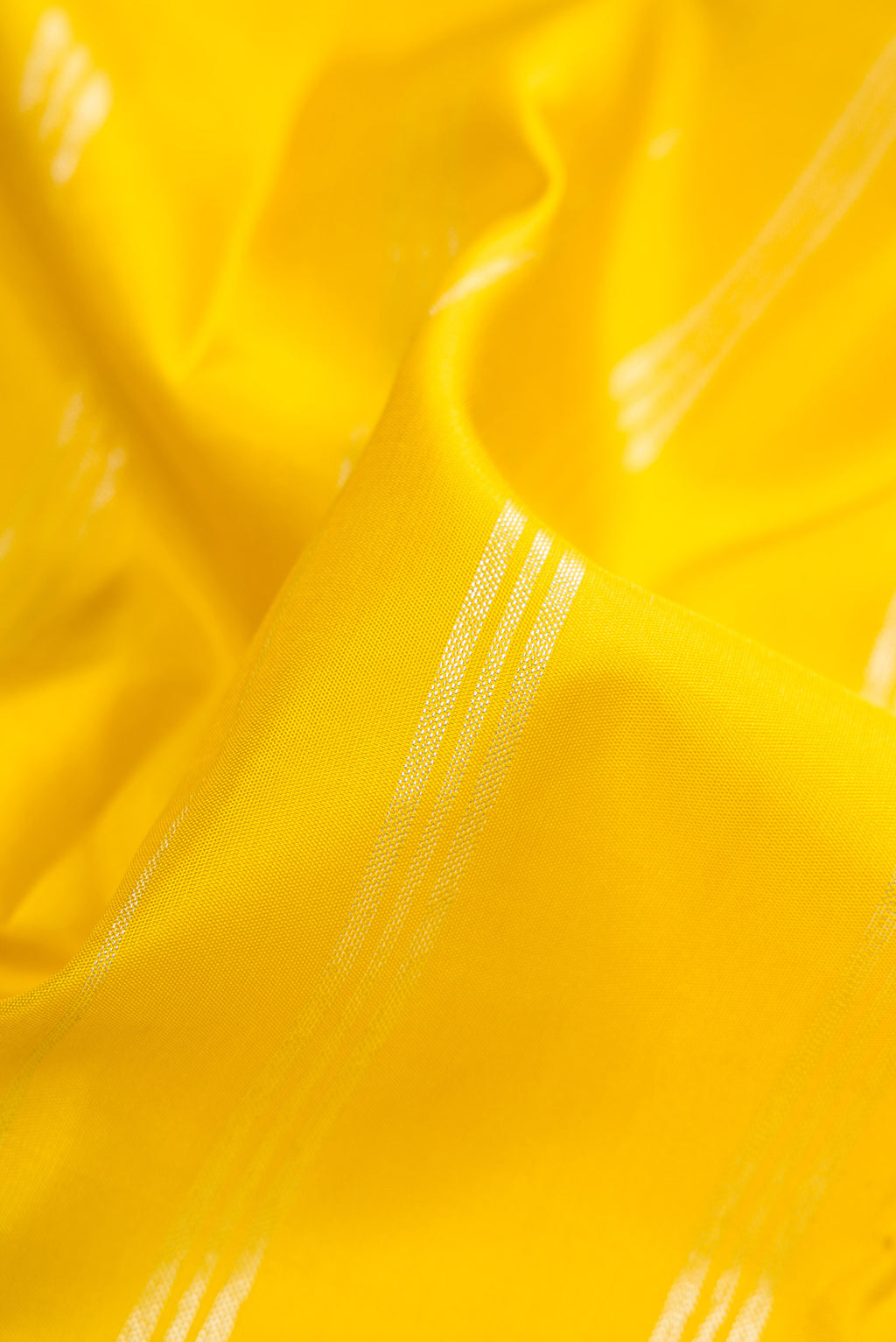 Close up of Yellow Kanjivaram Silk Saree with Stripes on the body and Without Border.  displaying folds