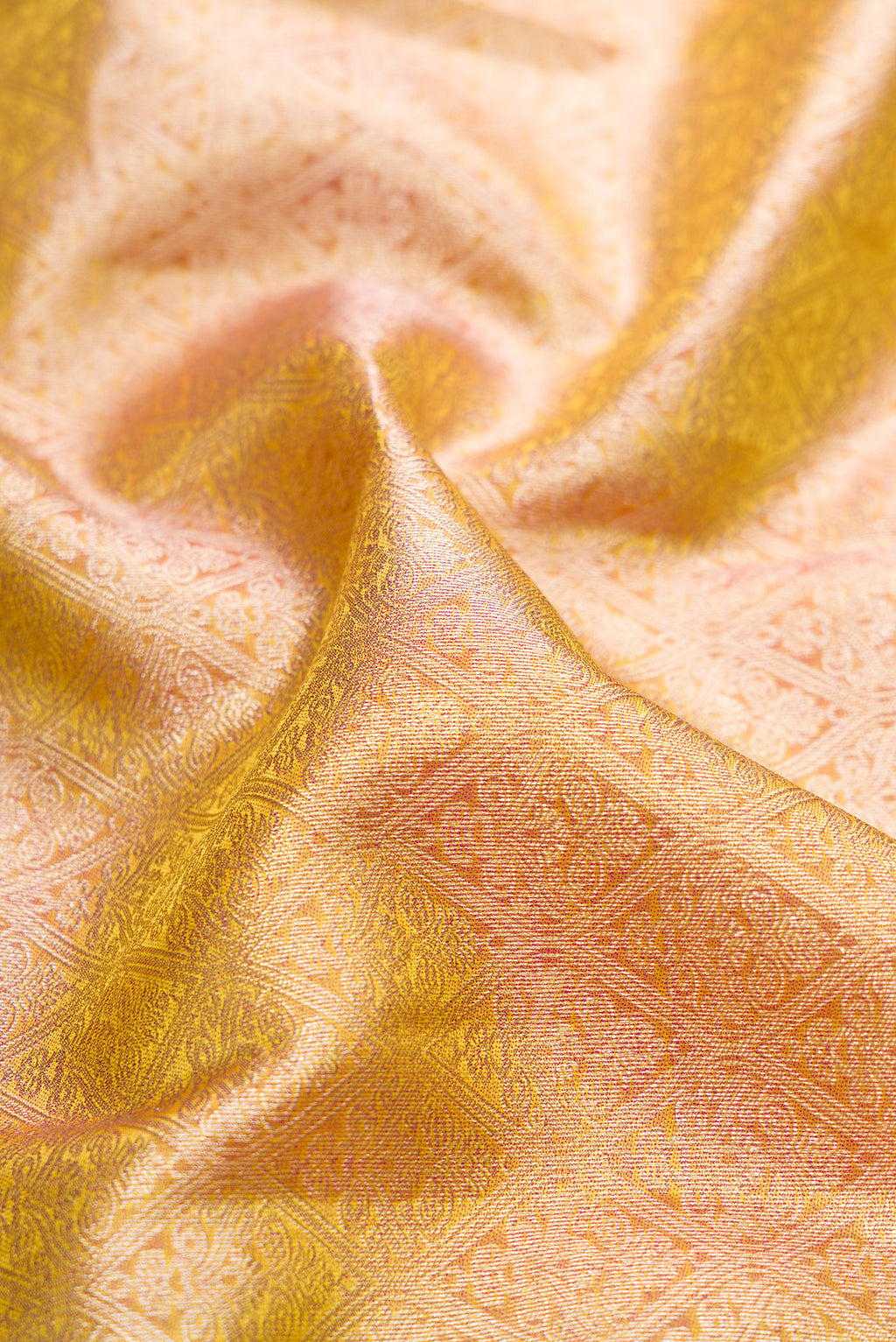 Close up of Gold Kanchipuram Silk Saree with Zari Brocade on the body and Zari Border.  displaying folds