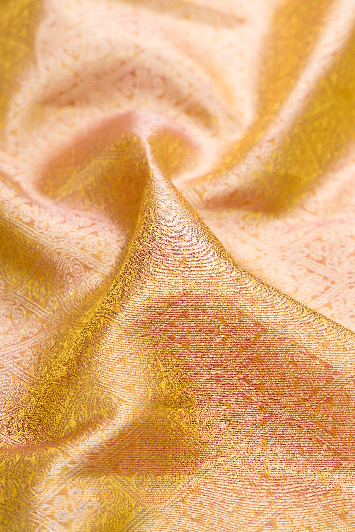 Close up of Gold Kanchipuram Silk Saree with Zari Brocade on the body and Zari Border.  displaying folds