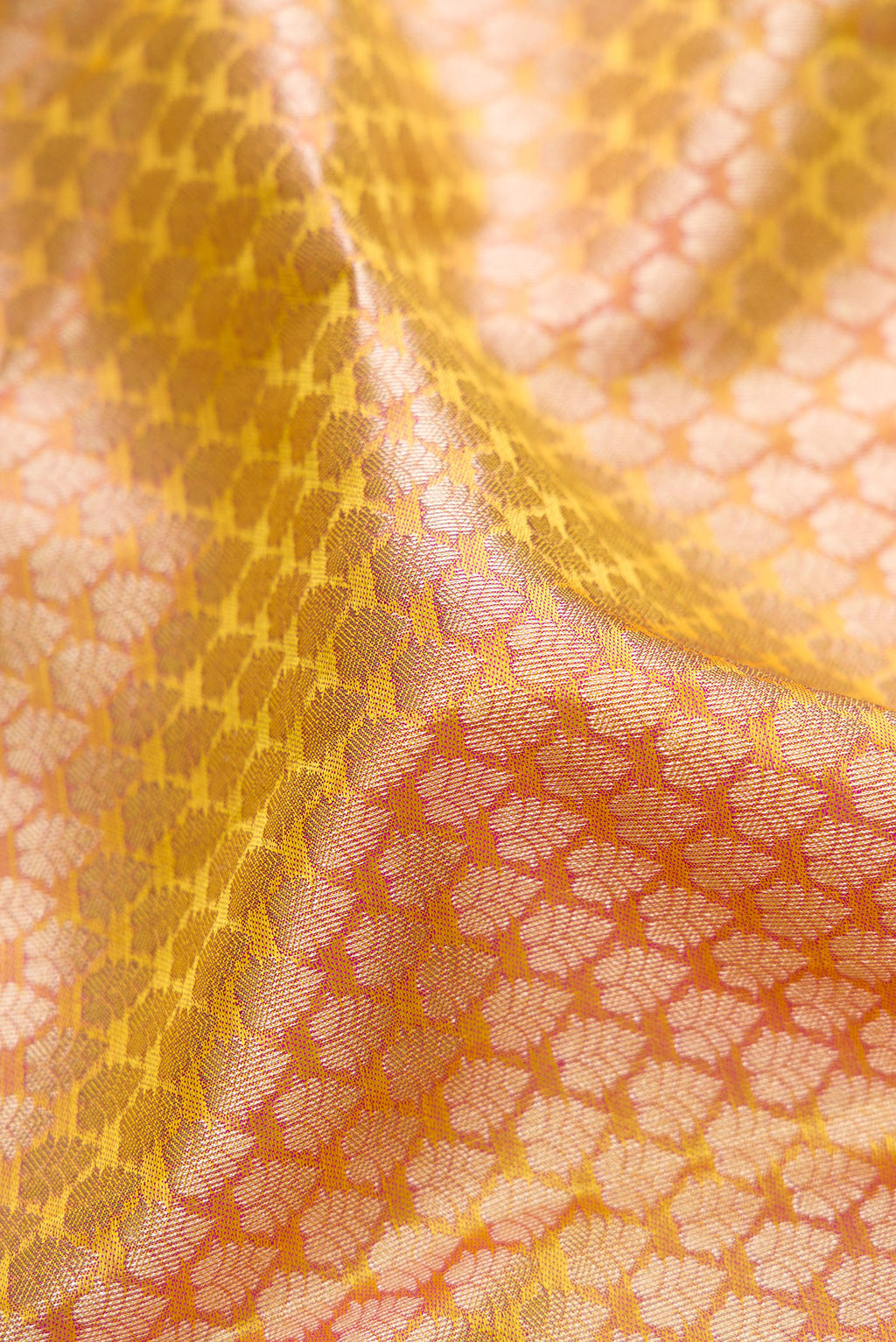 Close up of Sandal Kanchipuram Silk Saree with Zari Brocade on the body and Fancy Border.  displaying folds