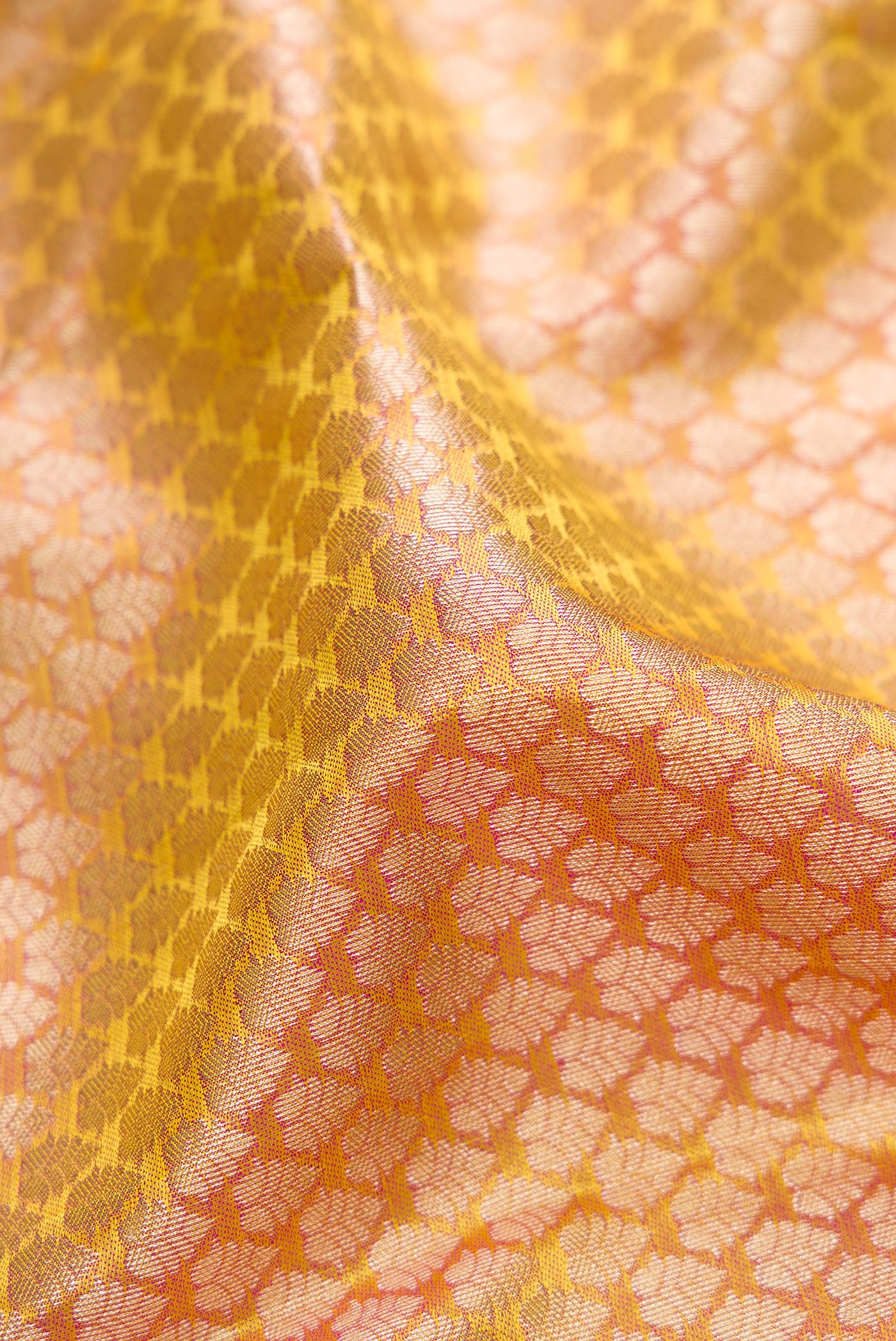 Close up of Sandal Kanchipuram Silk Saree with Zari Brocade on the body and Fancy Border.  displaying folds
