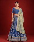 Royal Blue Raw Silk Womens Lehenga set featuring Embroidered Choli paired with Royal Blue Embroidered Skirt with Embroidered Border and a Embroidered dupatta in Light Green.