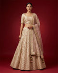Rose Gold Banarasi Silk Womens Lehenga set featuring Embroidered Choli paired with Rose Gold Embroidered Skirt with Embroidered Border and a Embroidered dupatta in Rose Gold