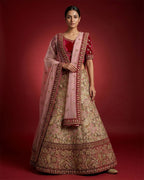 Red Banarasi Raw Silk Womens Lehenga set featuring Embroidered Choli paired with Pink Embroidered Skirt with Embroidered Border and a Embroidered dupatta in Pink