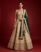 Sandal Banarasi Silk Womens Lehenga set featuring Embroidered Choli paired with Sandal Embroidered Skirt with Embroidered Border and a Embroidered dupatta in Green