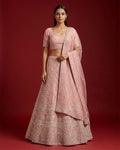 Pink Banarasi Silk Womens Lehenga set featuring Embroidered Choli paired with Pink Embroidered Skirt with Embroidered Border and a Embroidered dupatta in Pink