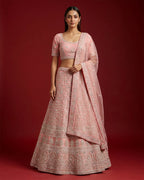 Pink Banarasi Silk Womens Lehenga set featuring Embroidered Choli paired with Pink Embroidered Skirt with Embroidered Border and a Embroidered dupatta in Pink