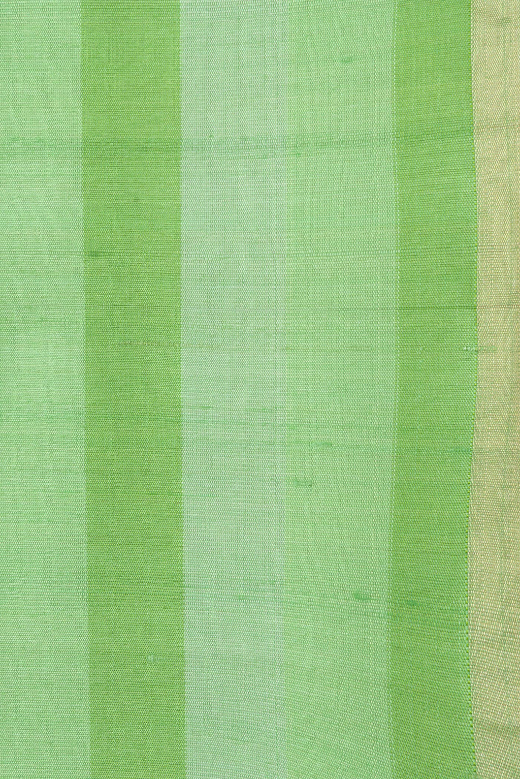 Border image of Green Dual Tone Tussar Silk Saree with Stripes on the body and Zari Border. 