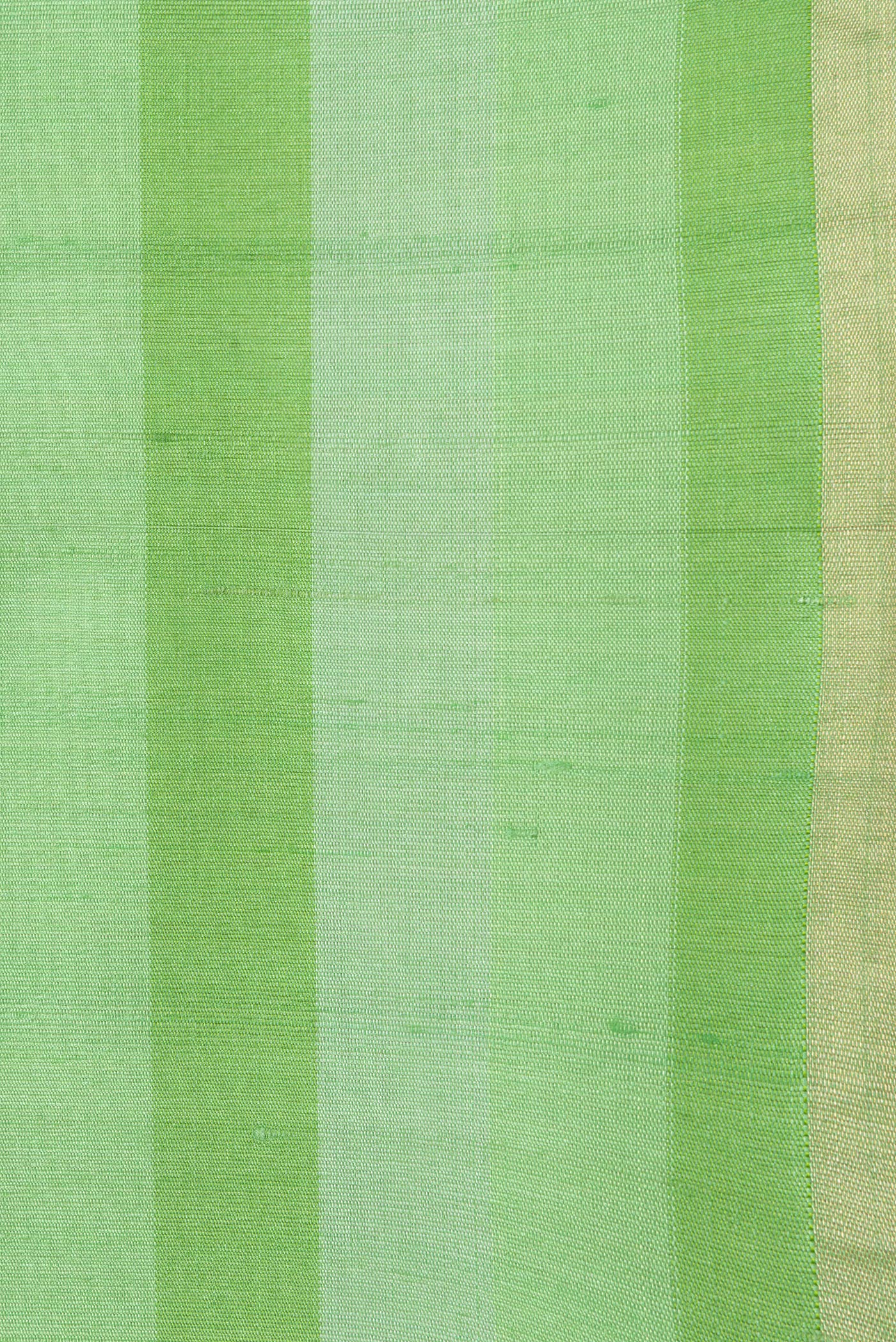 Border image of Green Dual Tone Tussar Silk Saree with Stripes on the body and Zari Border. 