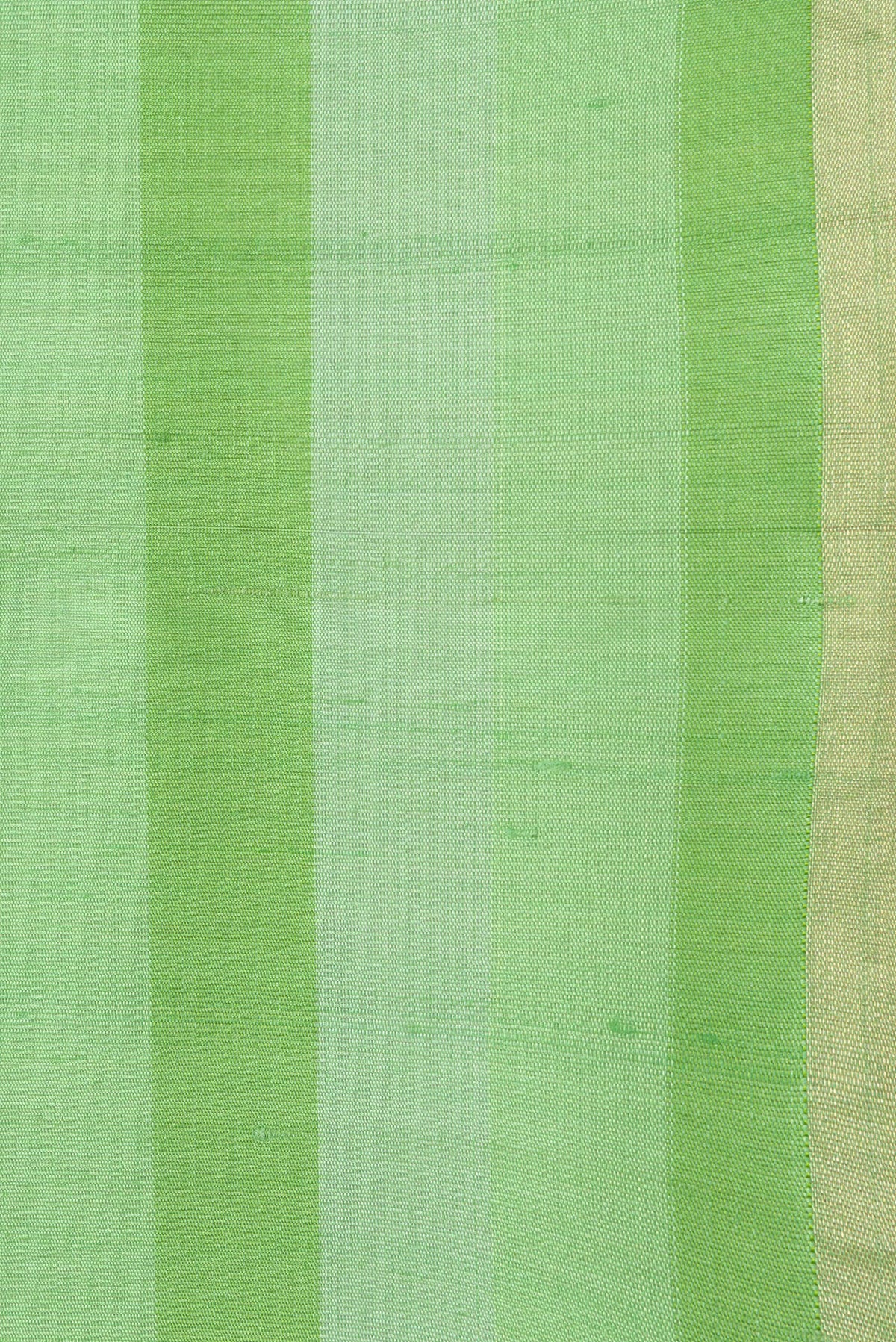 Border image of Green Dual Tone Tussar Silk Saree with Stripes on the body and Zari Border. 