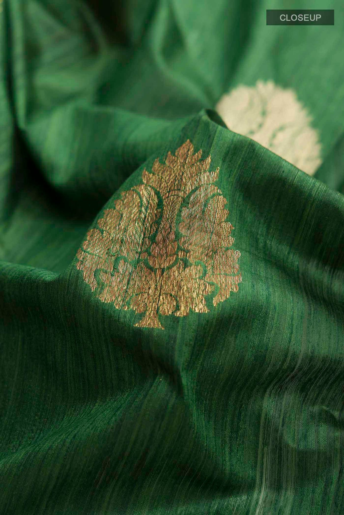 Close up of Green Bhagalpuri Tussar Silk Saree with Zari Butta on the body and Plain Border displaying folds
