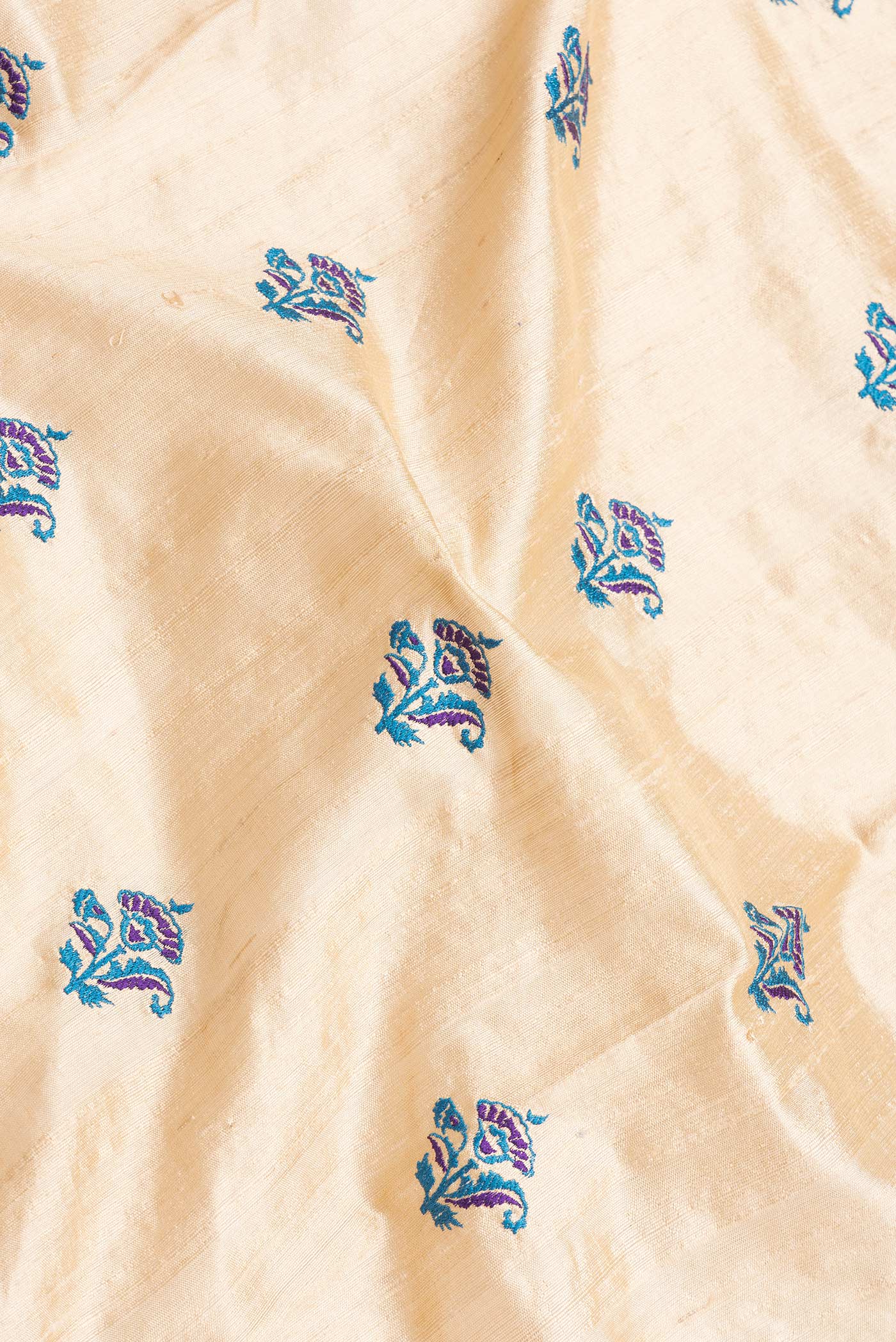Close up of Beige Dual Tone Tussar Silk Saree with Embroidery on the body and Zari Border.  displaying folds