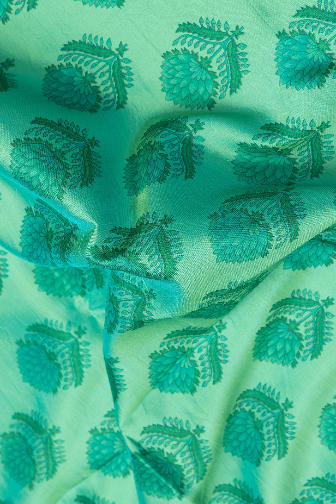 Close up of Sea Green Dual Tone Kanjivaram Silk Saree with Printed design on the body and Printed Border.  displaying folds