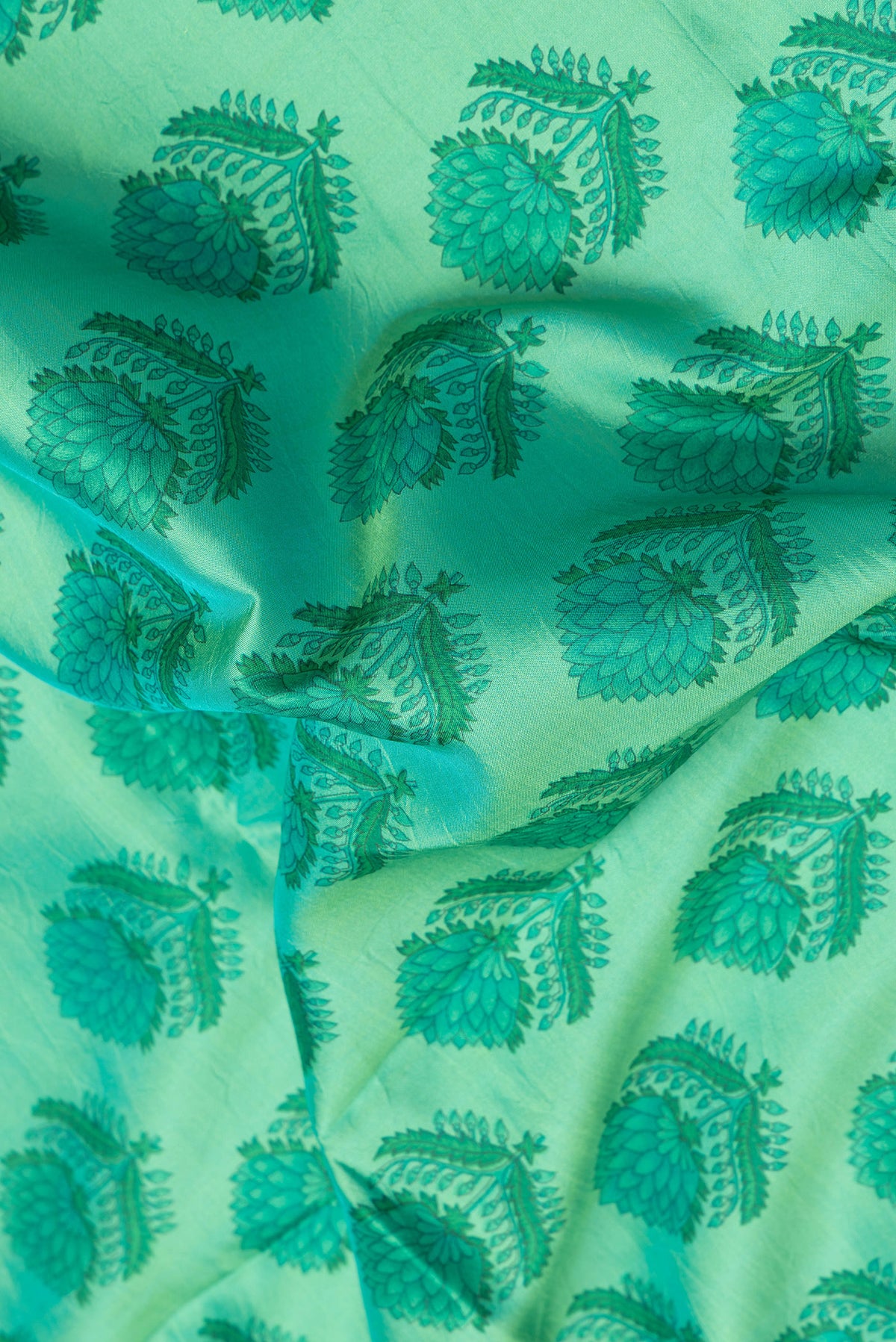 Close up of Sea Green Dual Tone Kanjivaram Silk Saree with Printed design on the body and Printed Border.  displaying folds