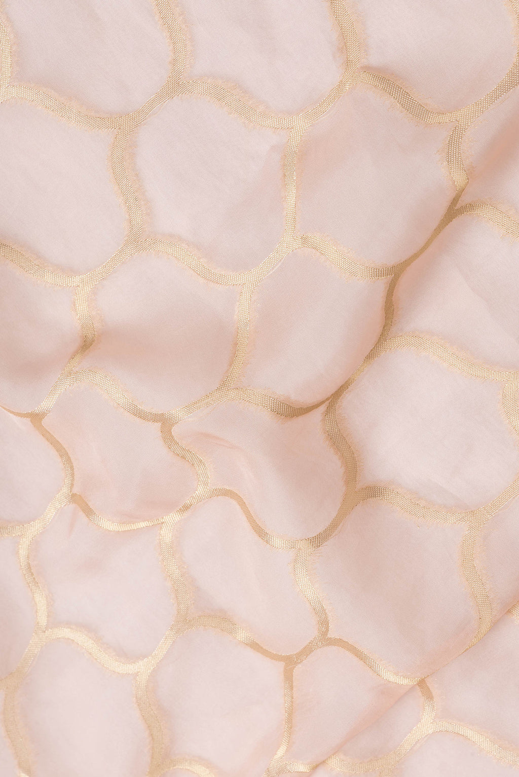Close up of Peach Dual Tone Organza Silk Saree with Zari Brocade on the body and Zari Border.  displaying folds