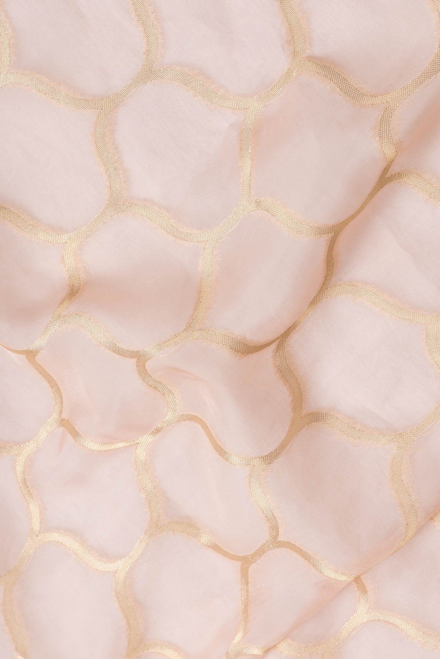 Close up of Peach Dual Tone Organza Silk Saree with Zari Brocade on the body and Zari Border.  displaying folds