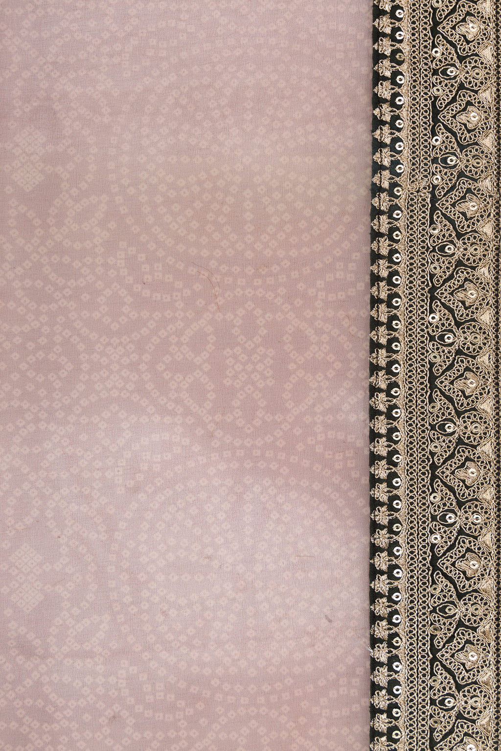 Border image of Brown Dual Tone Organza Silk Saree with Printed design on the body and Embroidery Border. 