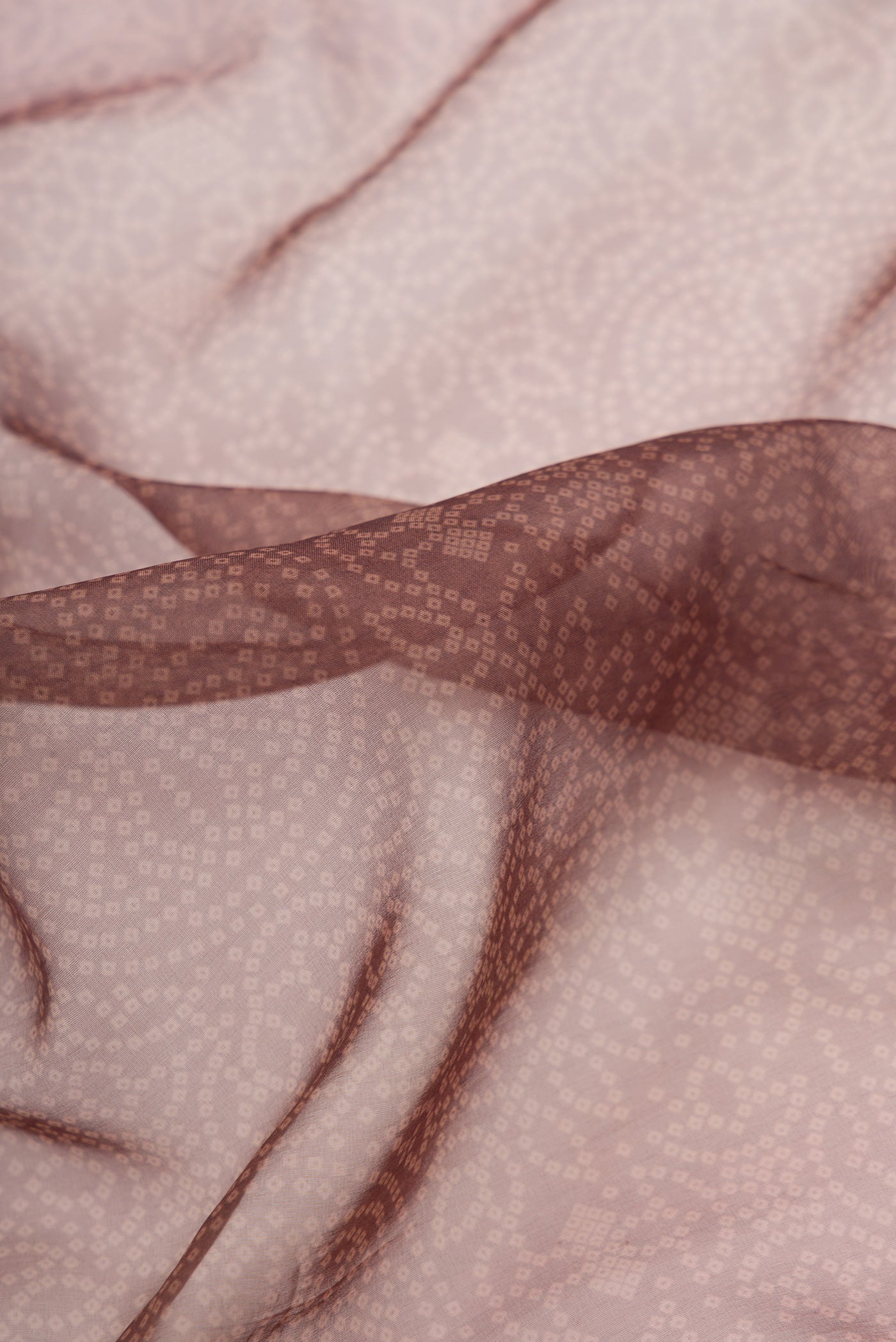 Close up of Brown Dual Tone Organza Silk Saree with Printed design on the body and Embroidery Border.  displaying folds