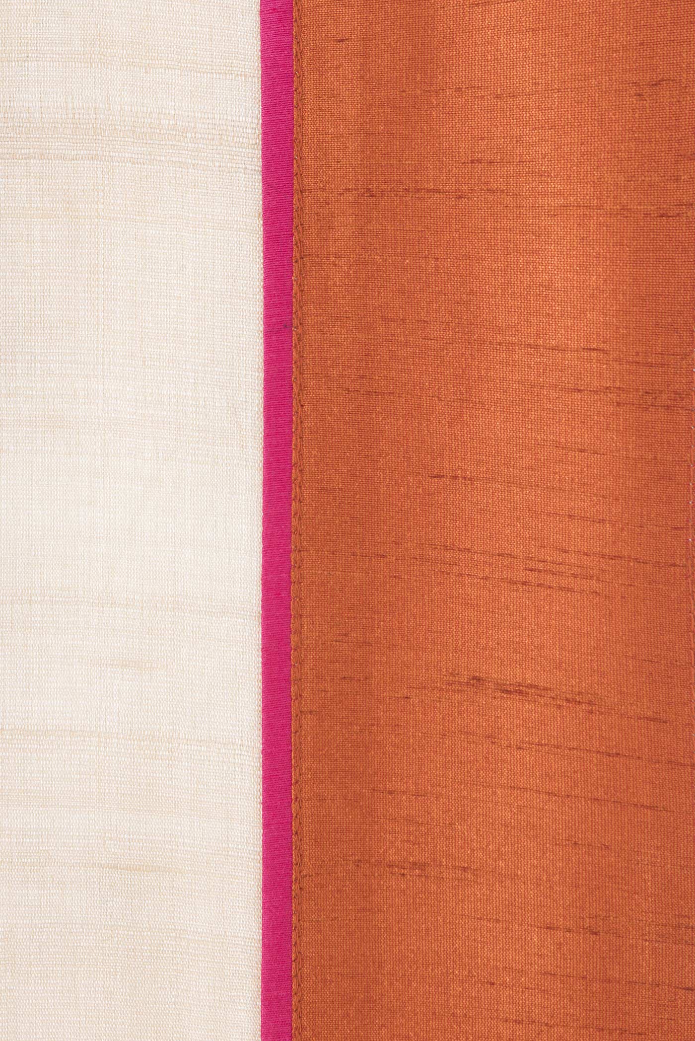 Border image of Beige Dual Tone Tussar Silk Saree with Embroidery on the body and Plain Border. 