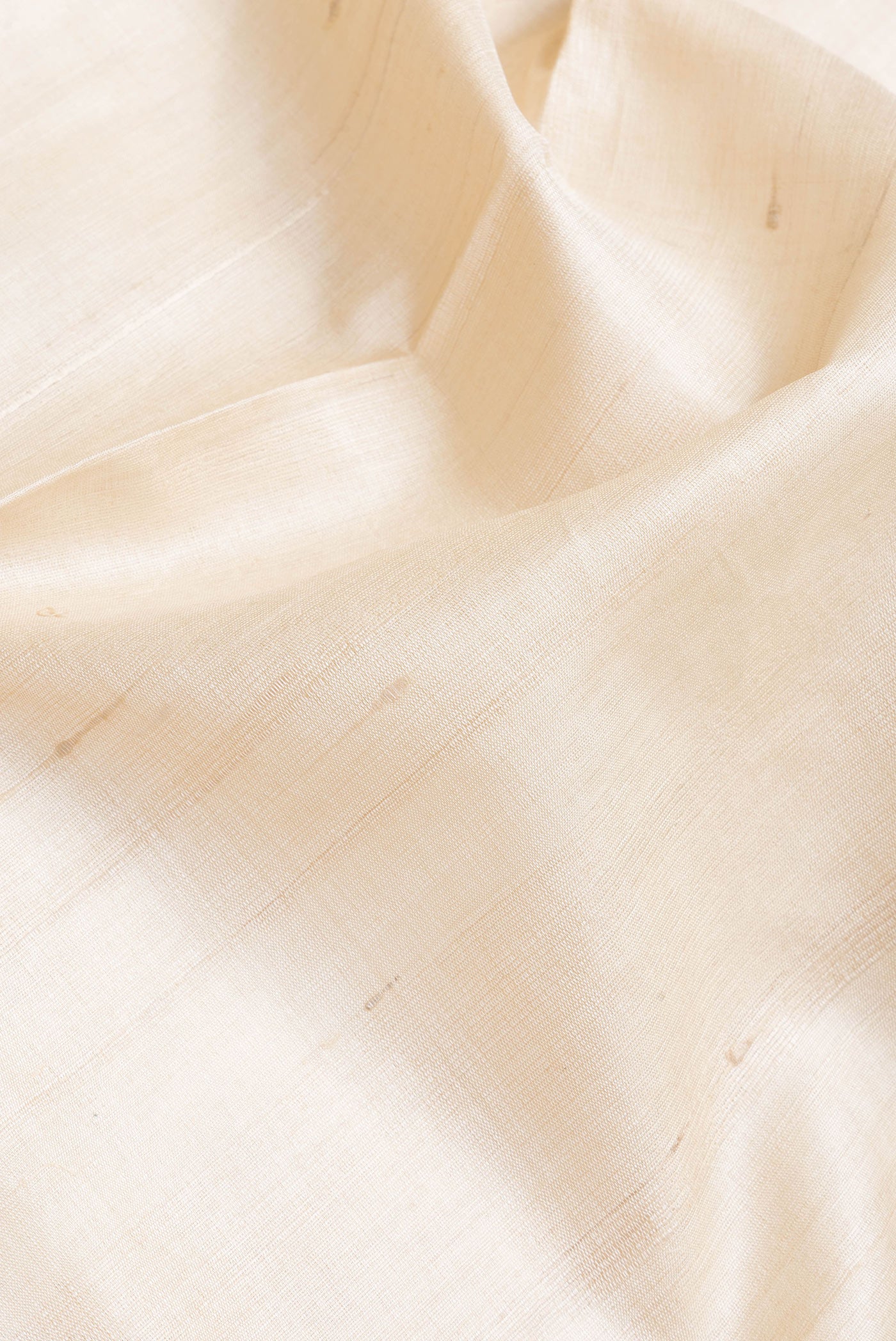 Close up of Beige Dual Tone Tussar Silk Saree with Embroidery on the body and Plain Border.  displaying folds