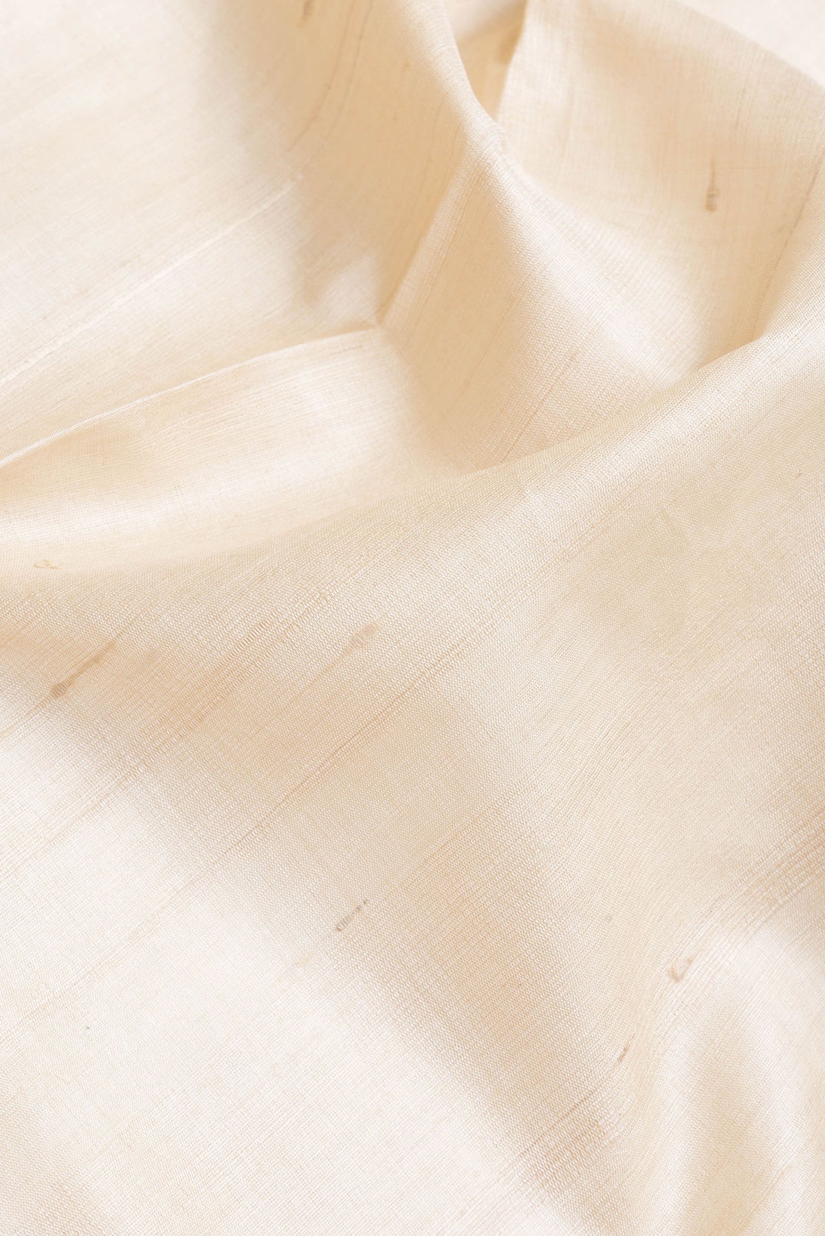 Close up of Beige Dual Tone Tussar Silk Saree with Embroidery on the body and Plain Border.  displaying folds