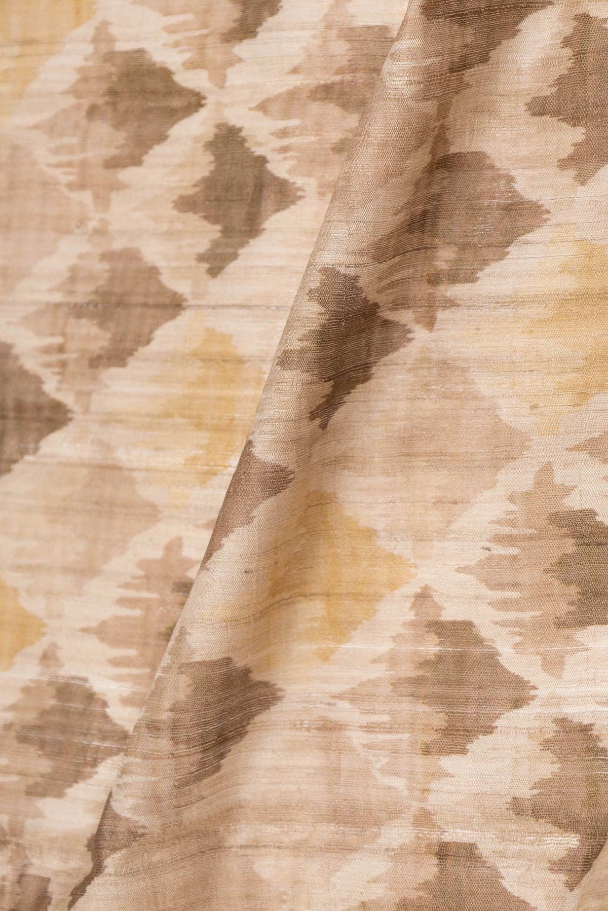 Close up of Beige Dual Tone Tussar Saree with Printed design on the body and Thread Border displaying folds