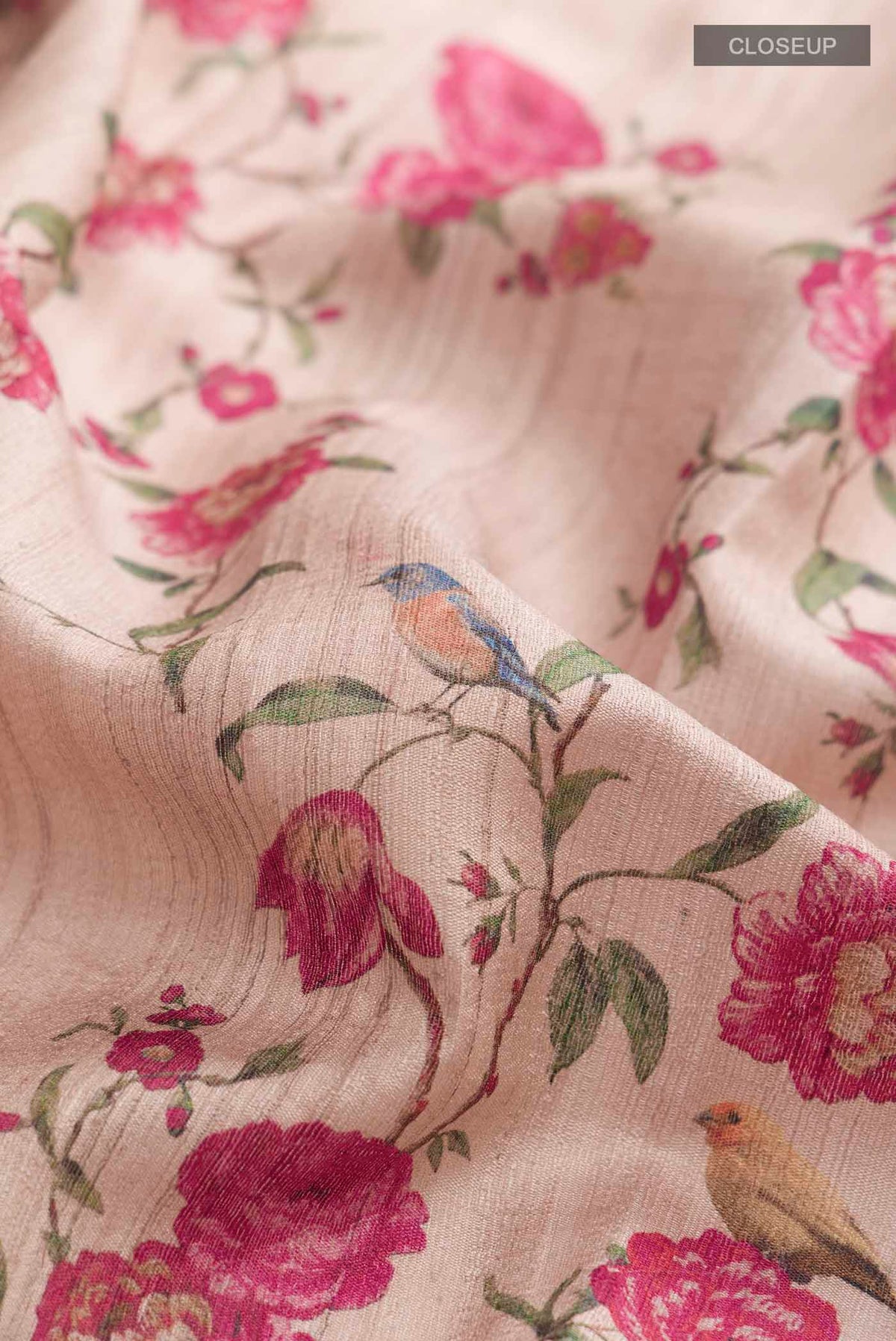 Close up of Beige Tussar Silk Saree with Printed design on the body and Zari Border displaying folds