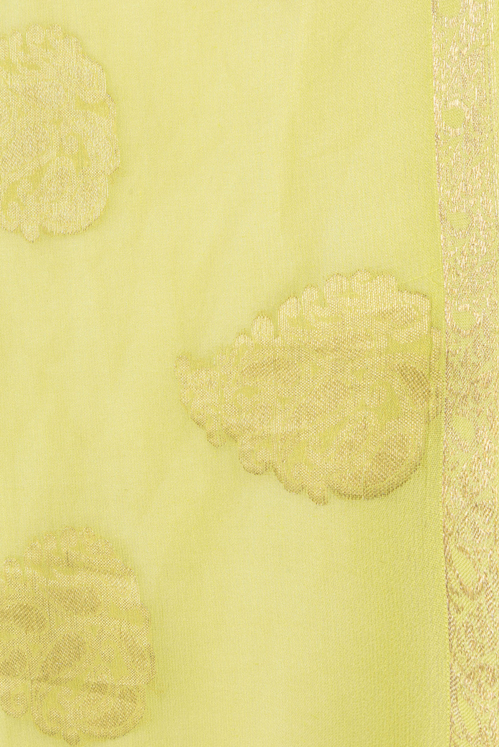 Border image of Parrot Green Dual Tone Mysore Georgette Saree with Zari Butta on the body and Zari Border. 