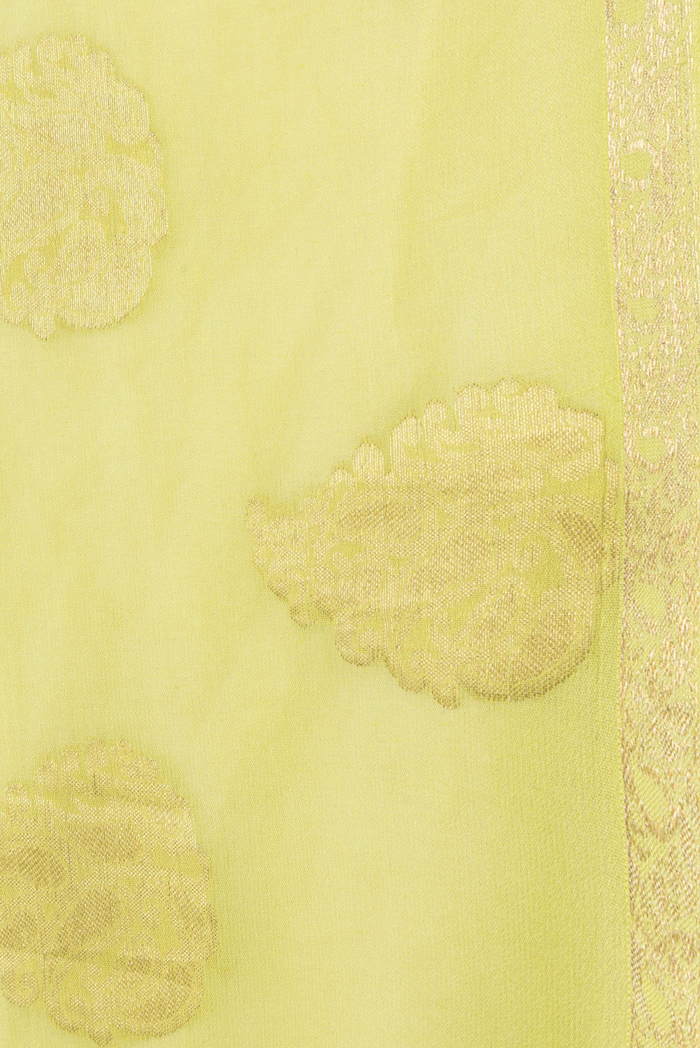 Border image of Parrot Green Dual Tone Mysore Georgette Saree with Zari Butta on the body and Zari Border. 