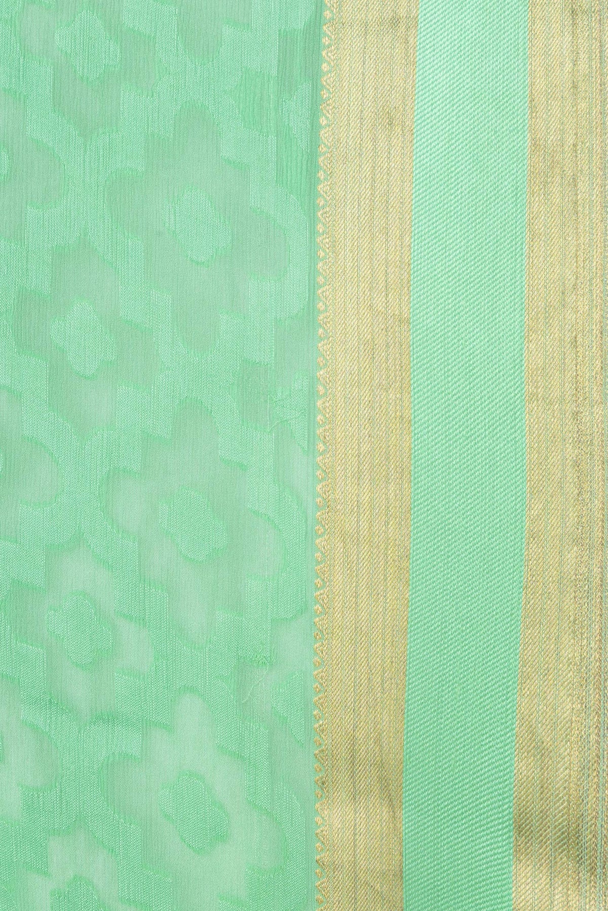 Border image of Sea Green Dual Tone Georgette Saree with Jacquard design on the body and Zari Border. 