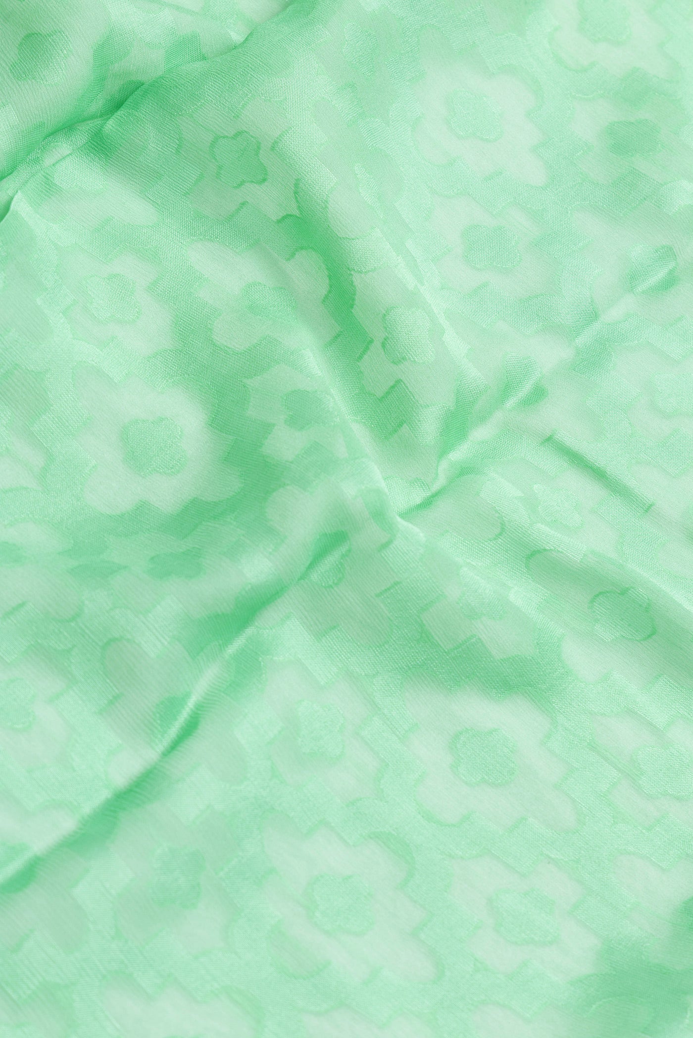 Close up of Sea Green Dual Tone Georgette Saree with Jacquard design on the body and Zari Border.  displaying folds